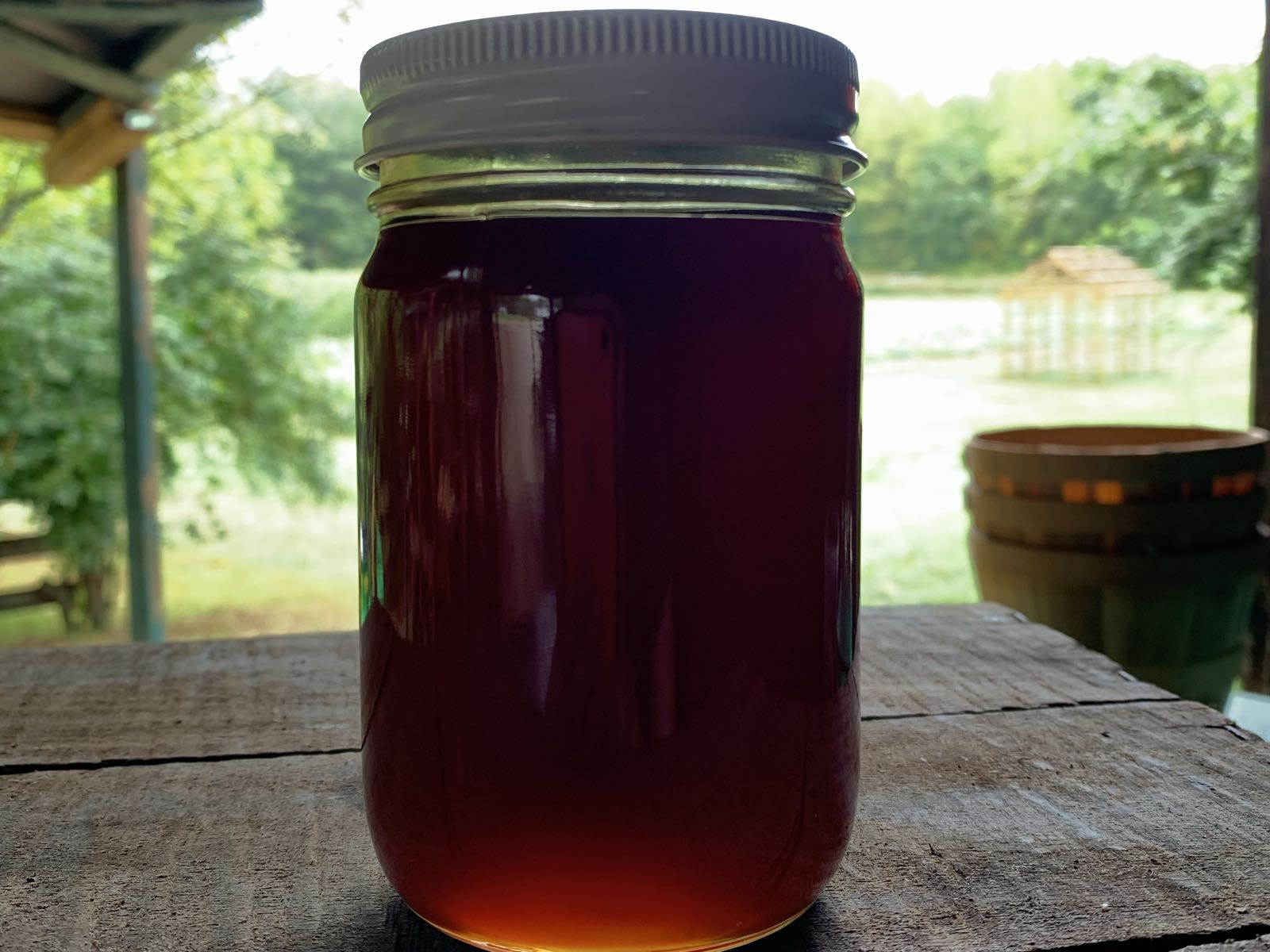 Thumbnail image 1 for Local forest honey