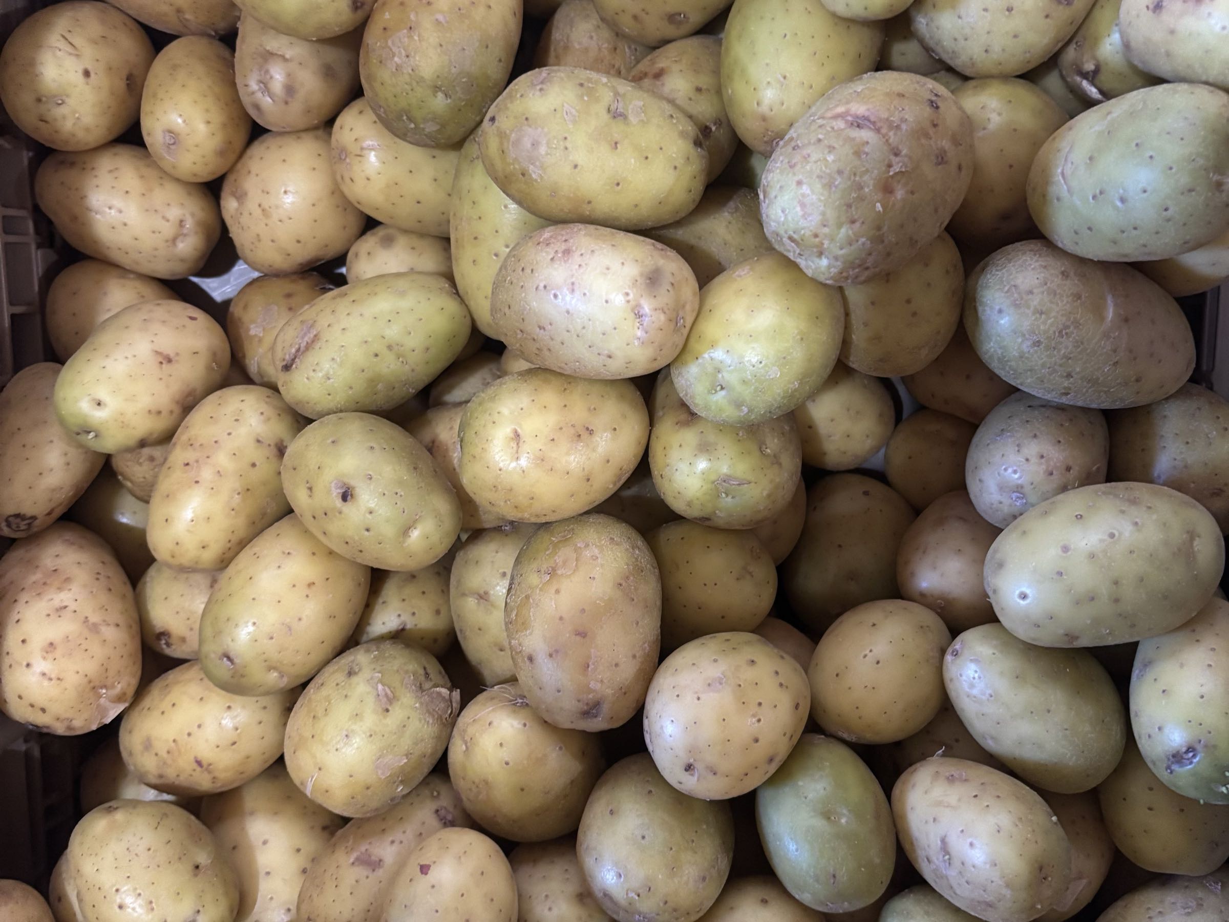 White B potatoes