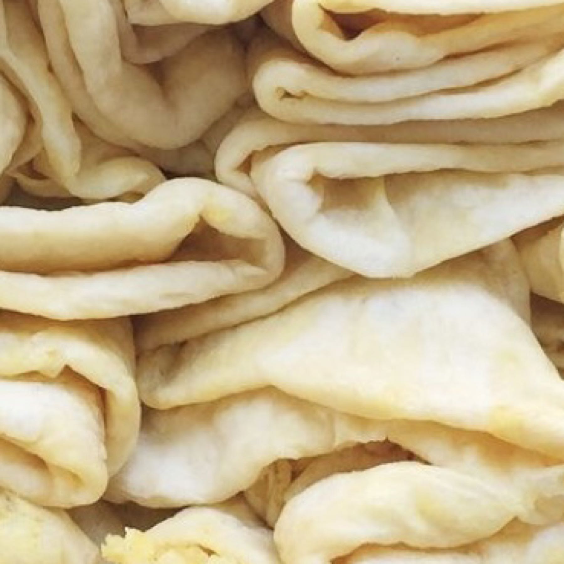 Thumbnail image 1 for Fresh Dhal Puri Roti-Add On.