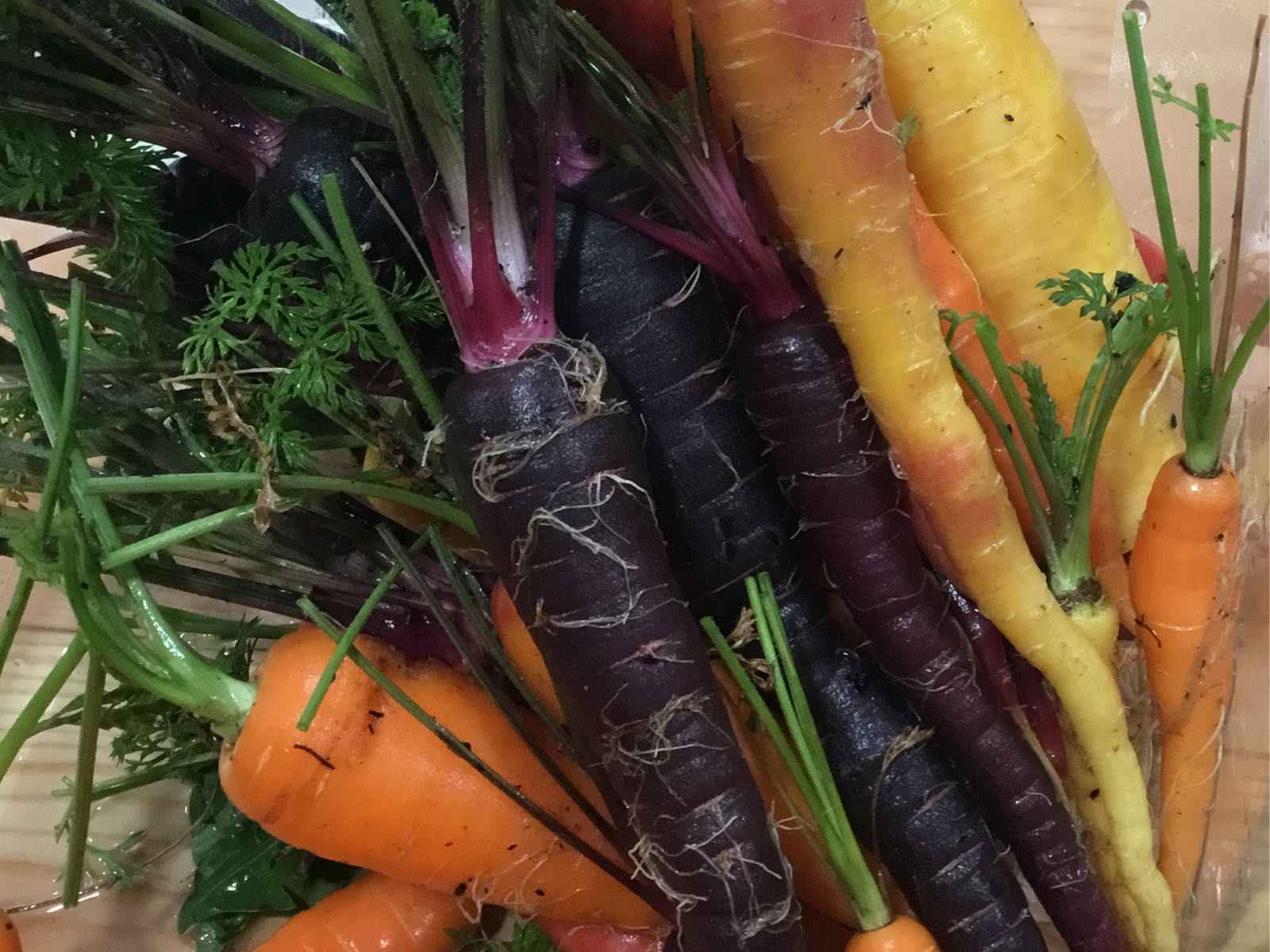 Thumbnail image 1 for Fresh - Carrots, Rainbow