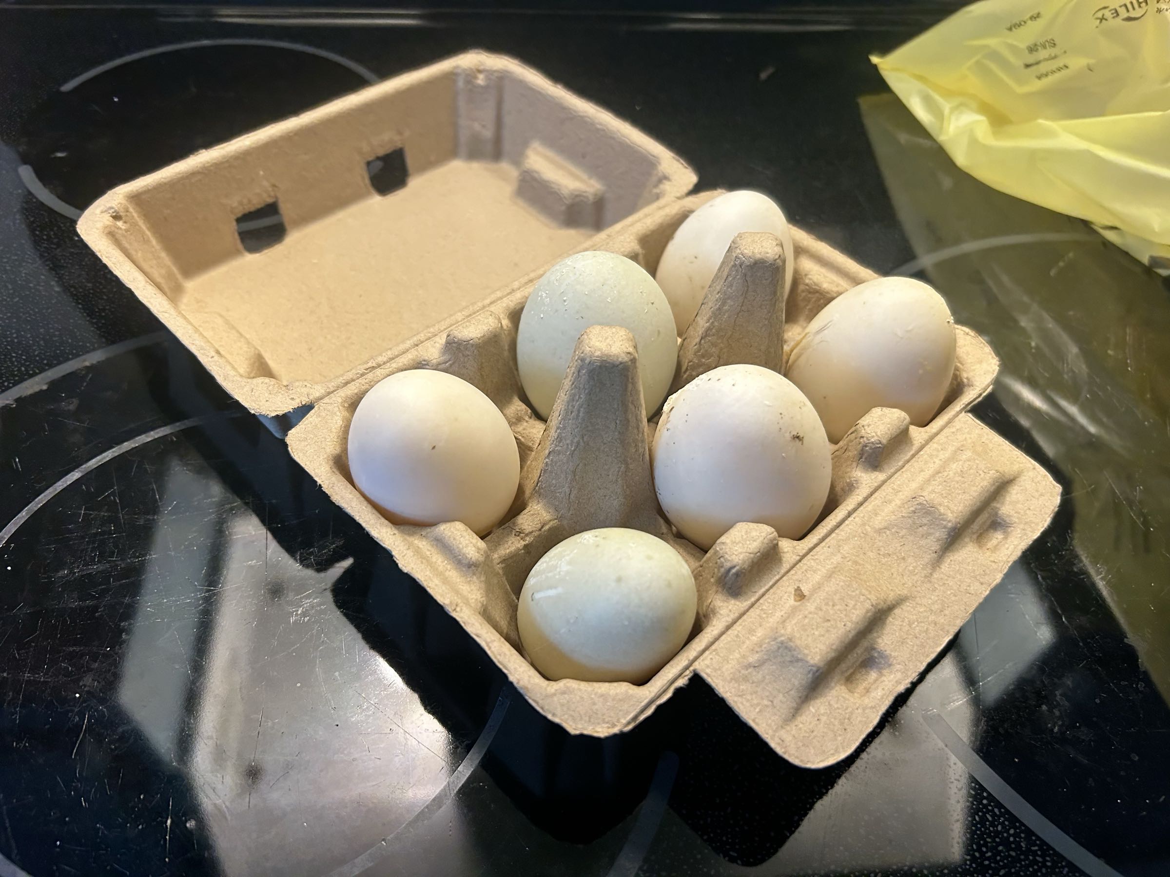 Thumbnail image 1 for Duck Eggs (1 Dozen)