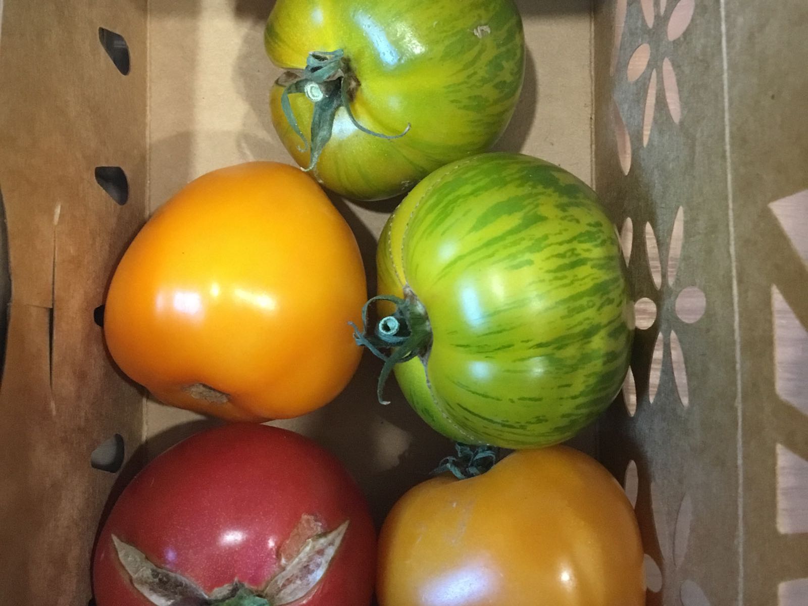 Grab N Go - Tomatoes Medley