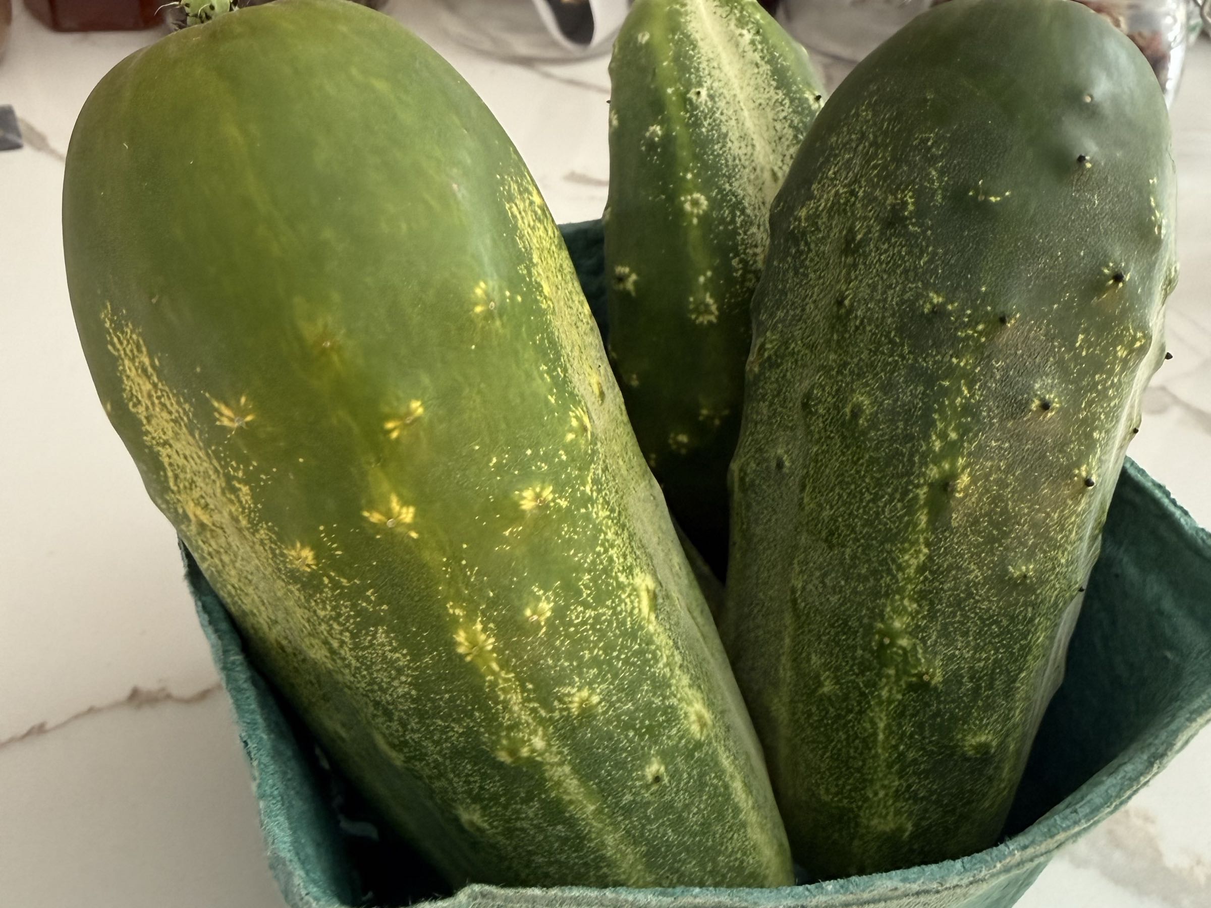 Thumbnail image 4 for Cucumbers