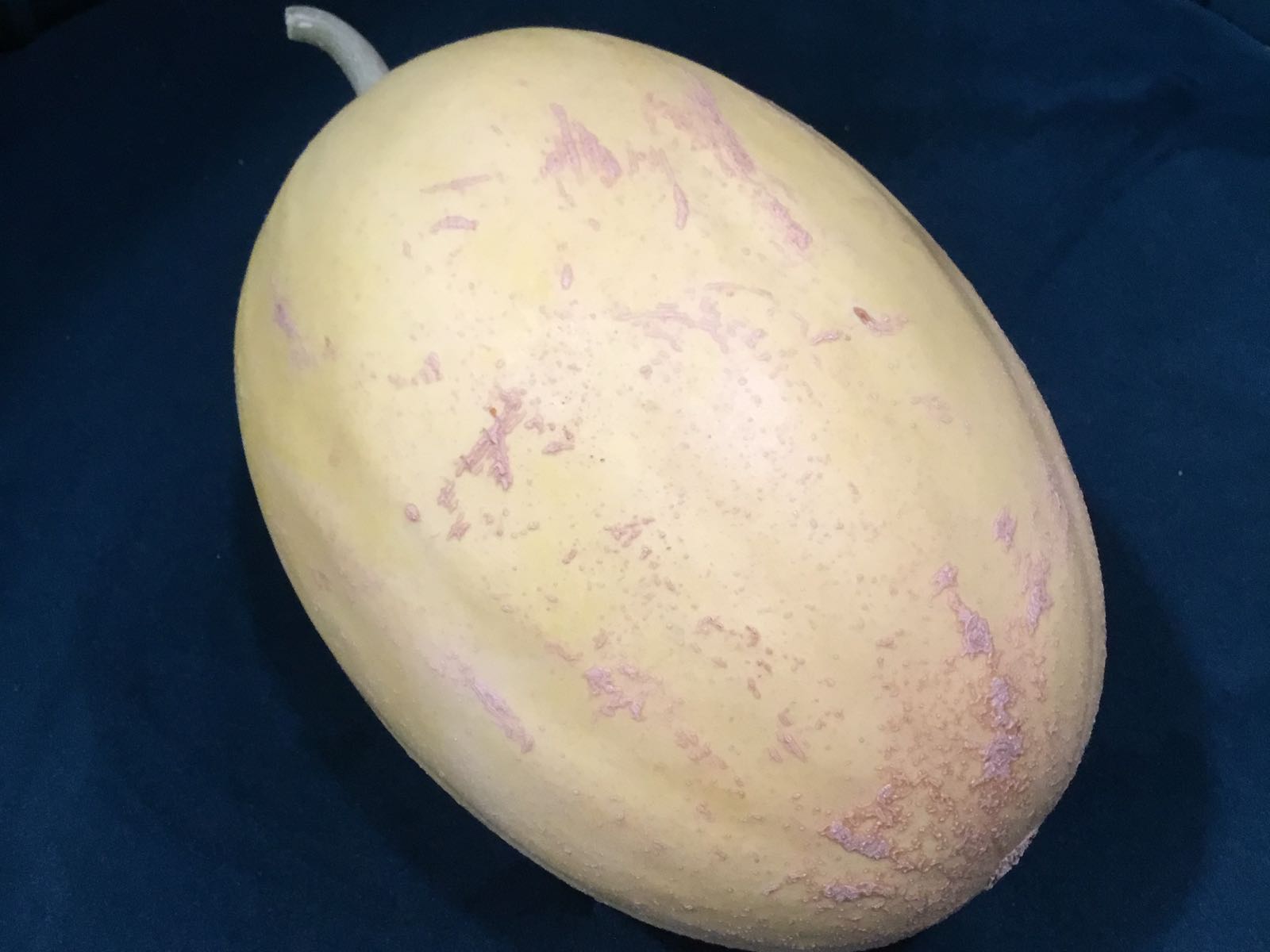 Fresh - Mango Melon