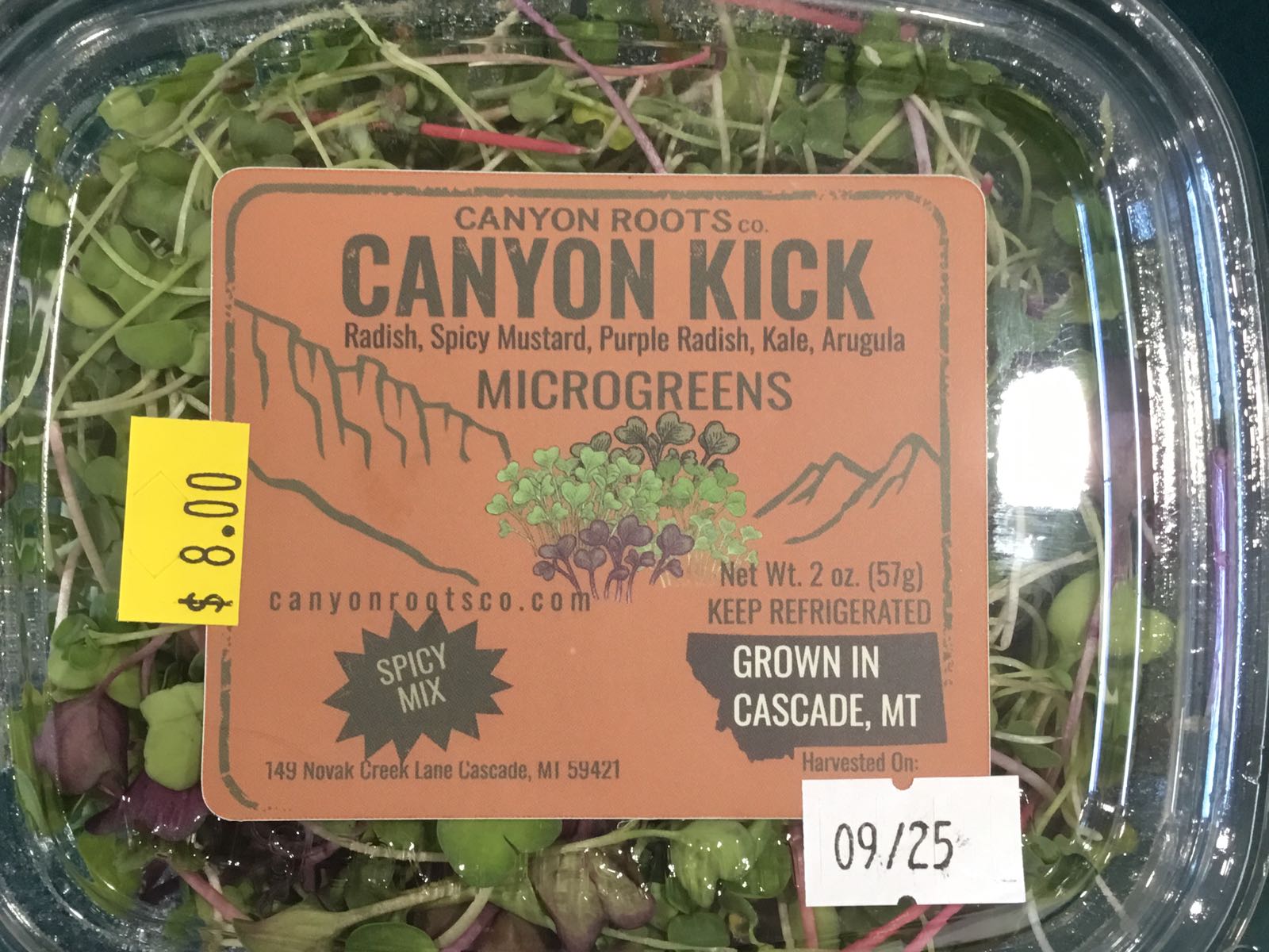 CRC - LAST CHANCE Canyon Kick Microgreens