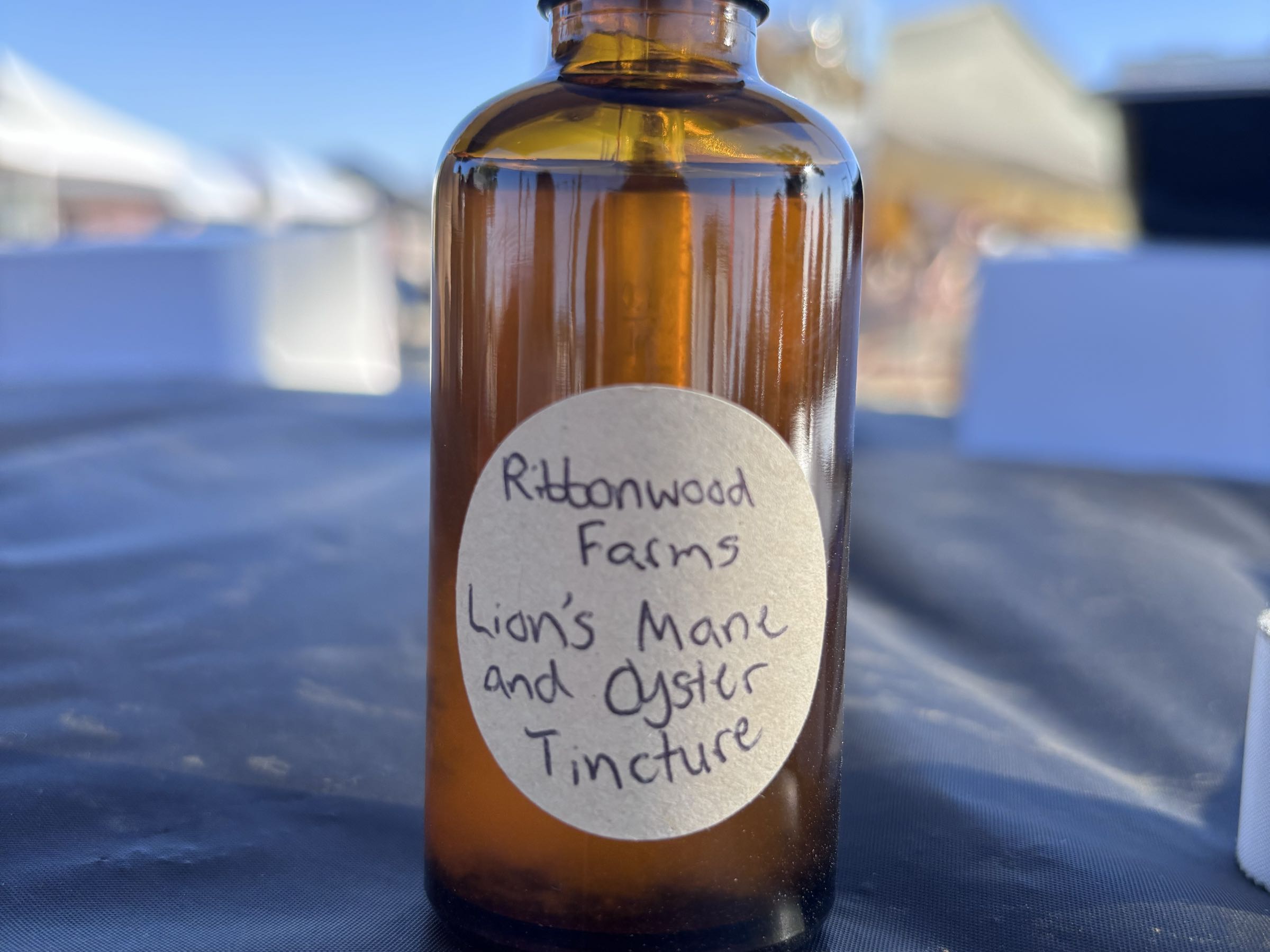 Thumbnail image 1 for Lion’s Mane +Golden Oyster Tincture