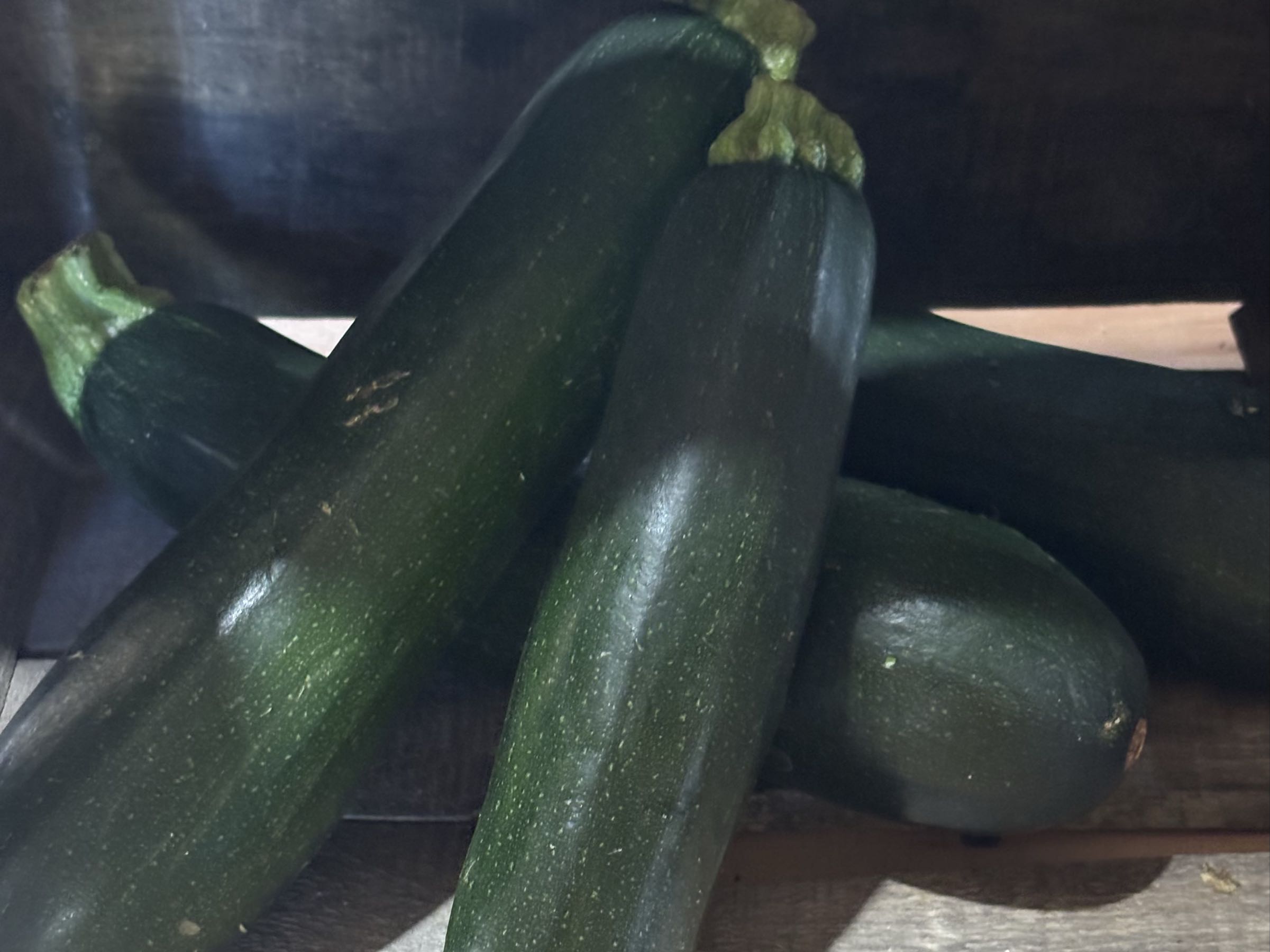 Zucchini