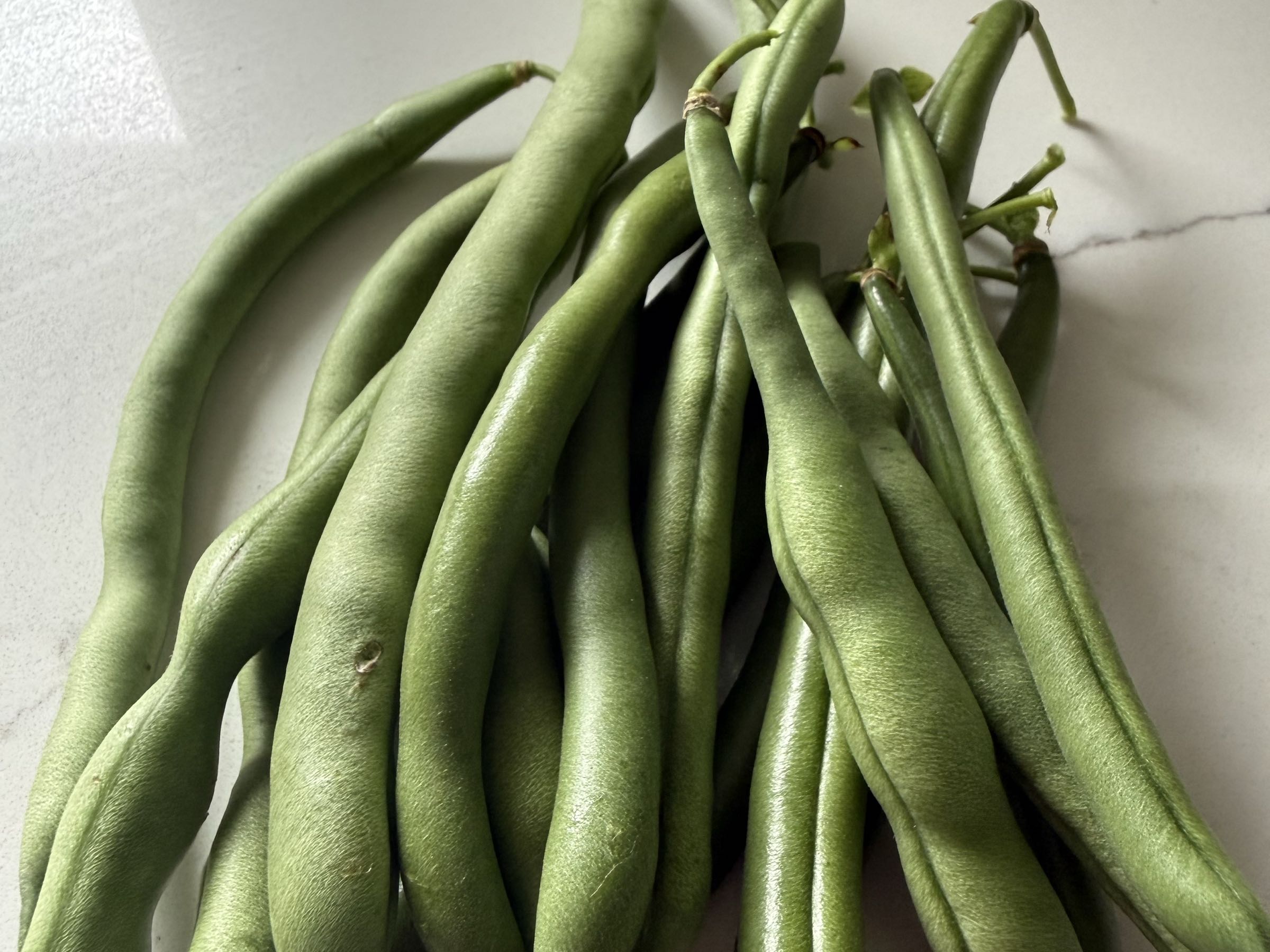Pole Beans