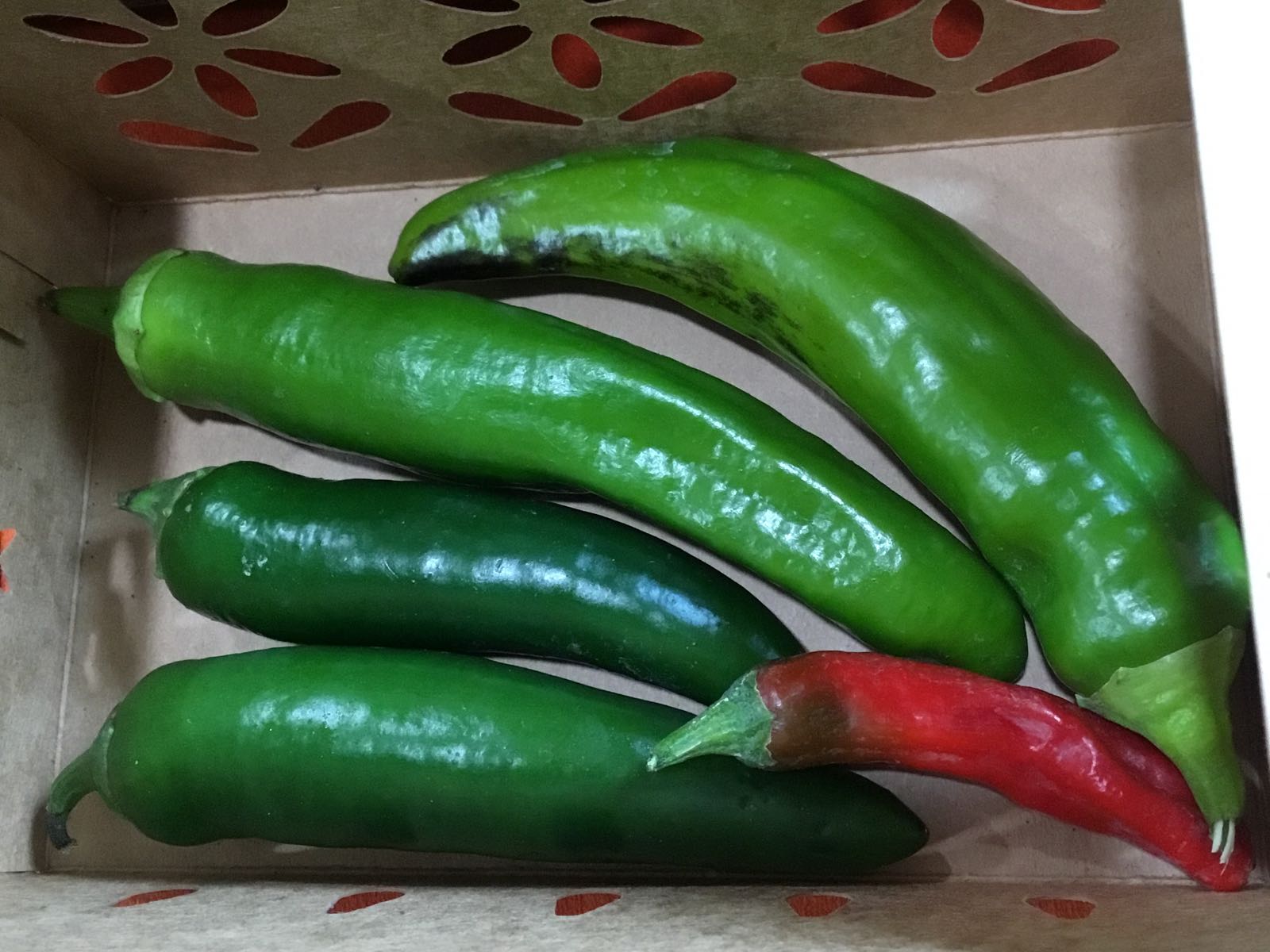 Thumbnail image 1 for Grab N Go - Peppers, Medium/Mild Mix
