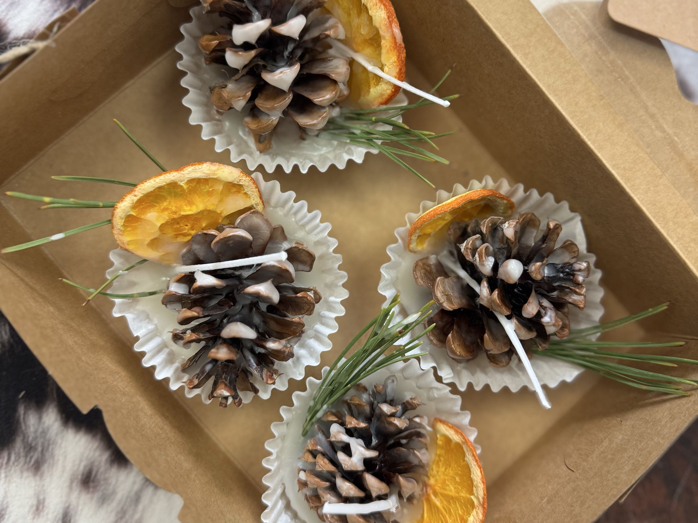 Thumbnail image 1 for Pinecone Fire Starter (1)