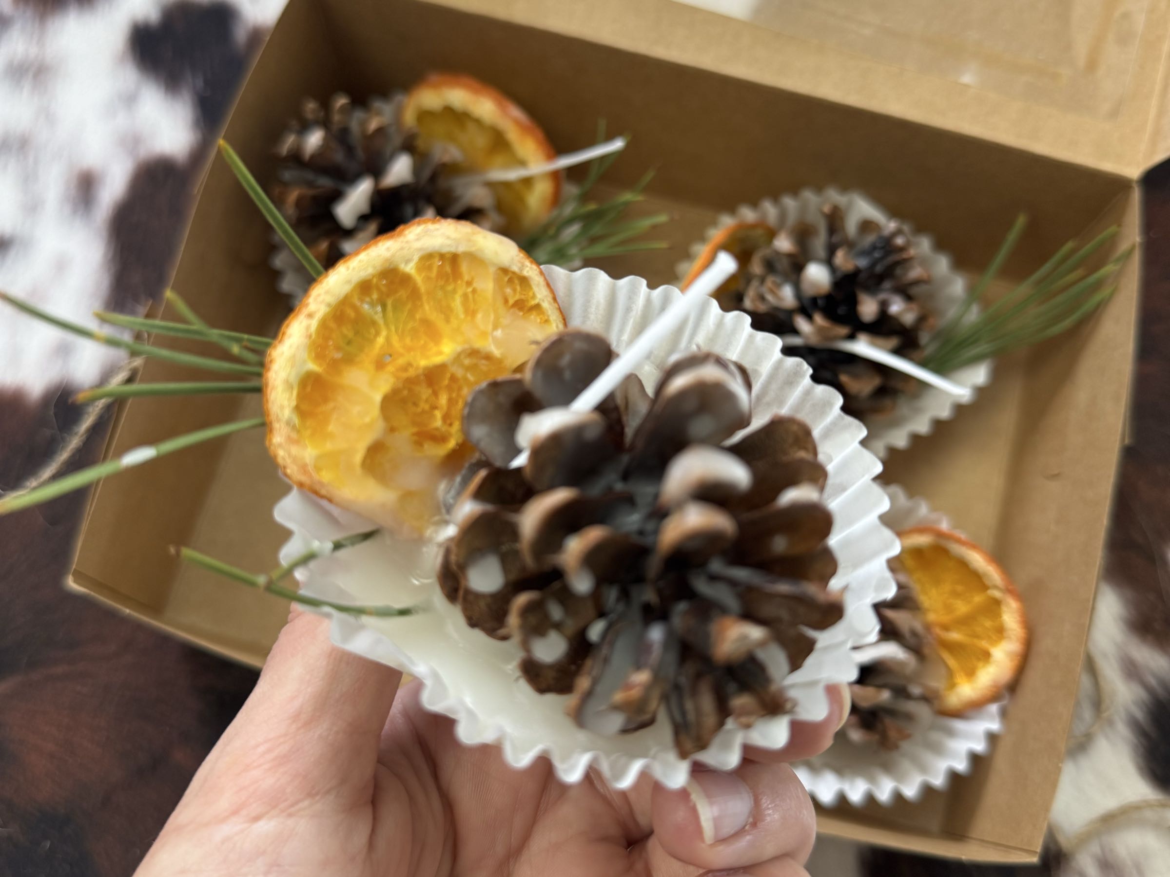 Thumbnail image 2 for Pinecone Fire Starter (1)