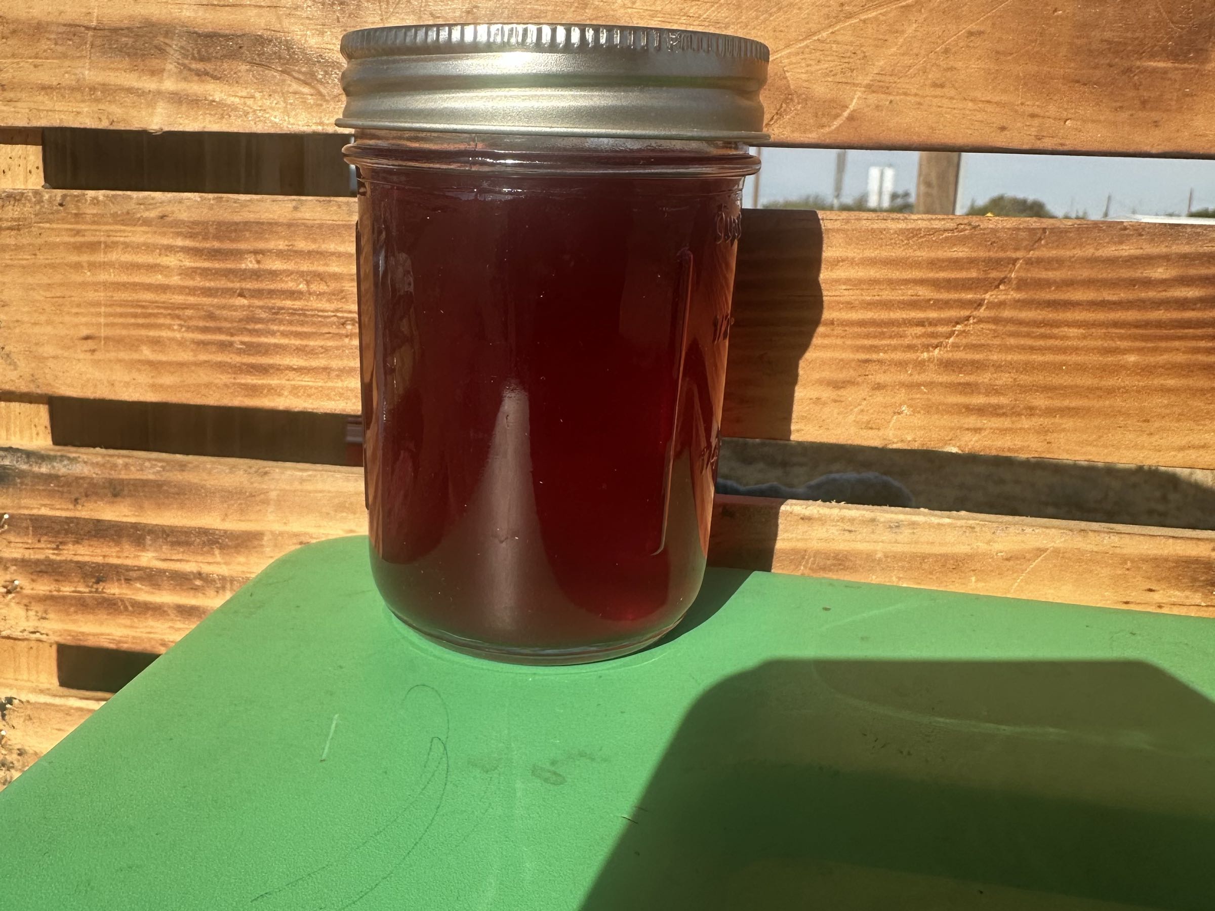 Prickly Pear Syrup