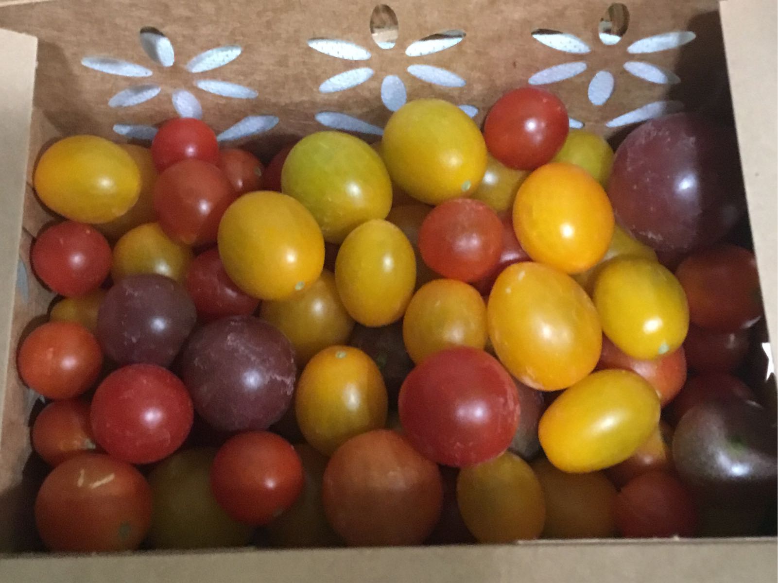 Thumbnail image 1 for Grab N Go - Tomatoes Cherry Variety Pack