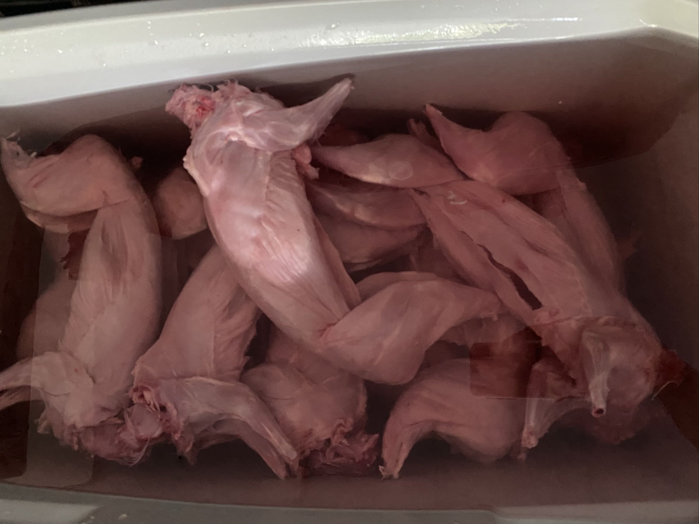 Thumbnail image 4 for Rabbits Meat