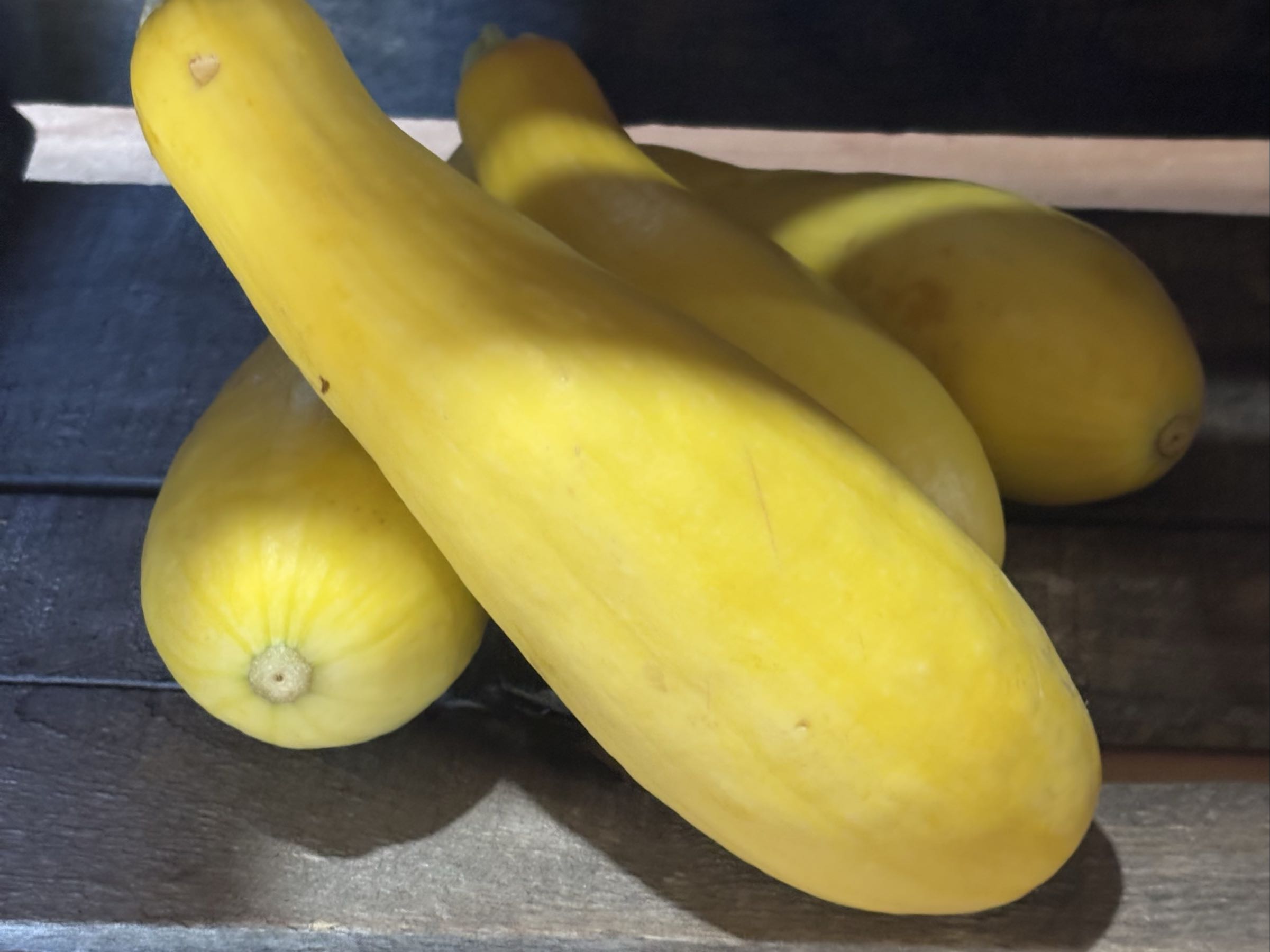 Yellow squash