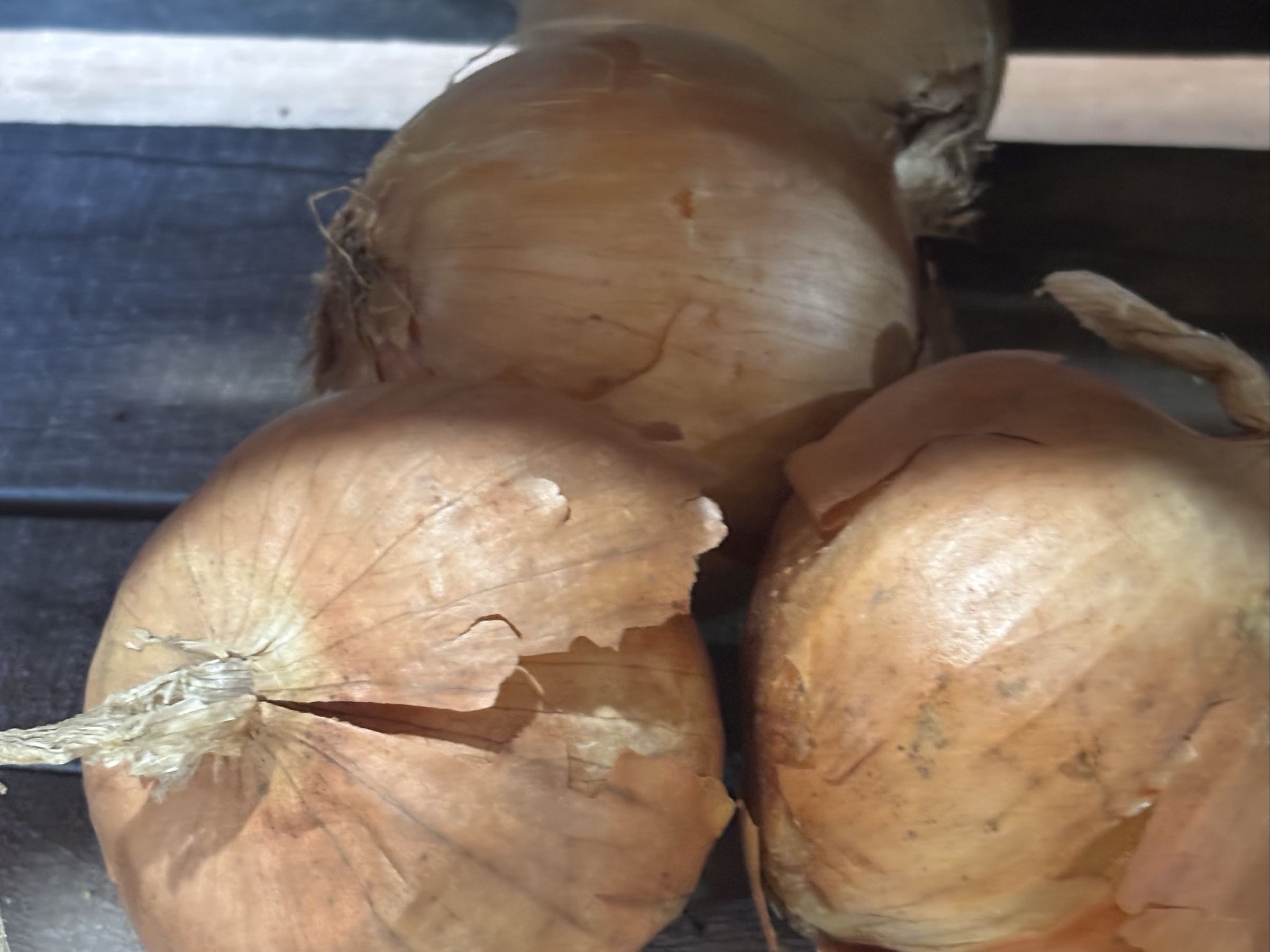 Yellow onion