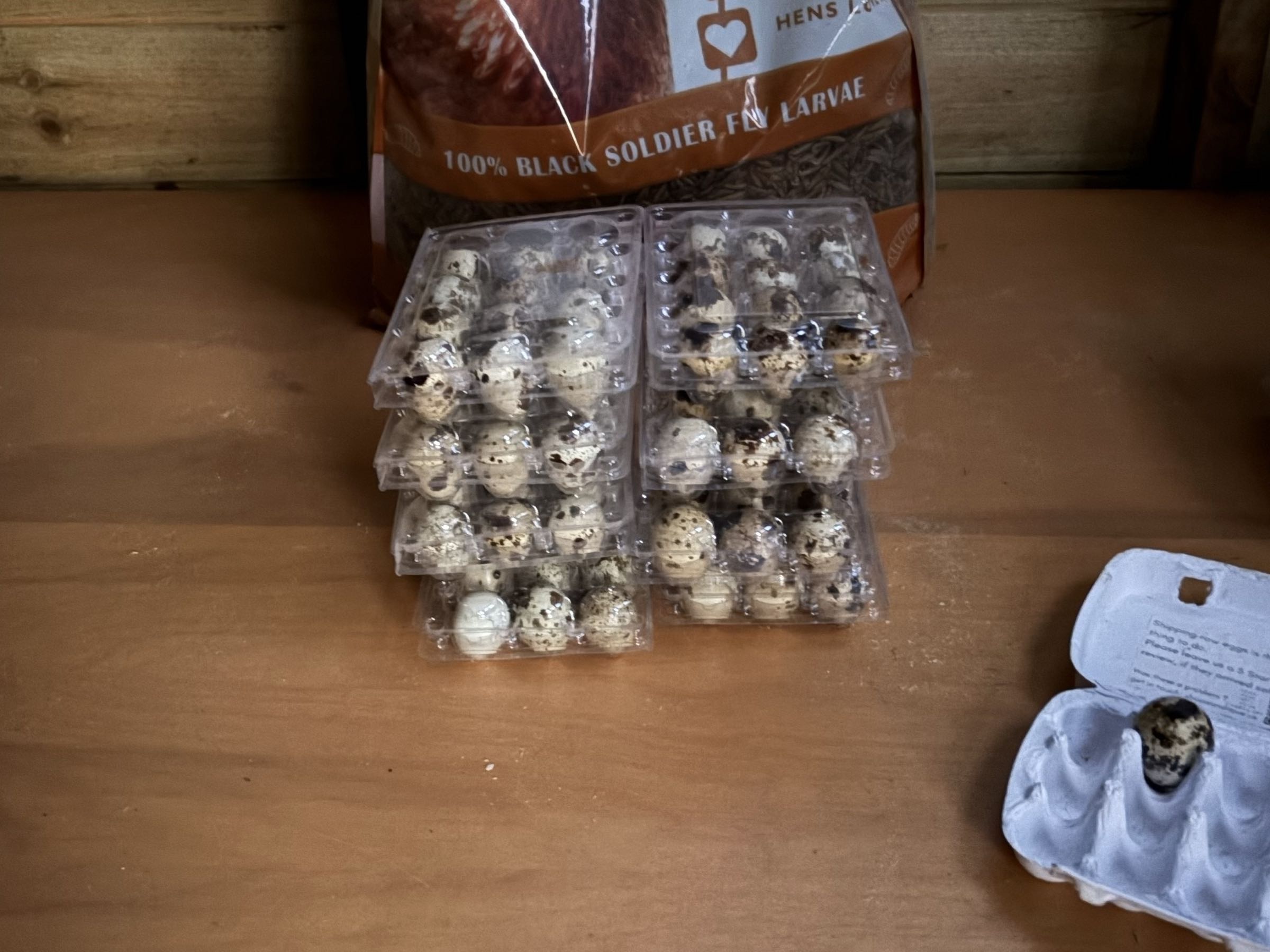 Thumbnail image 2 for Fresh quail eggs