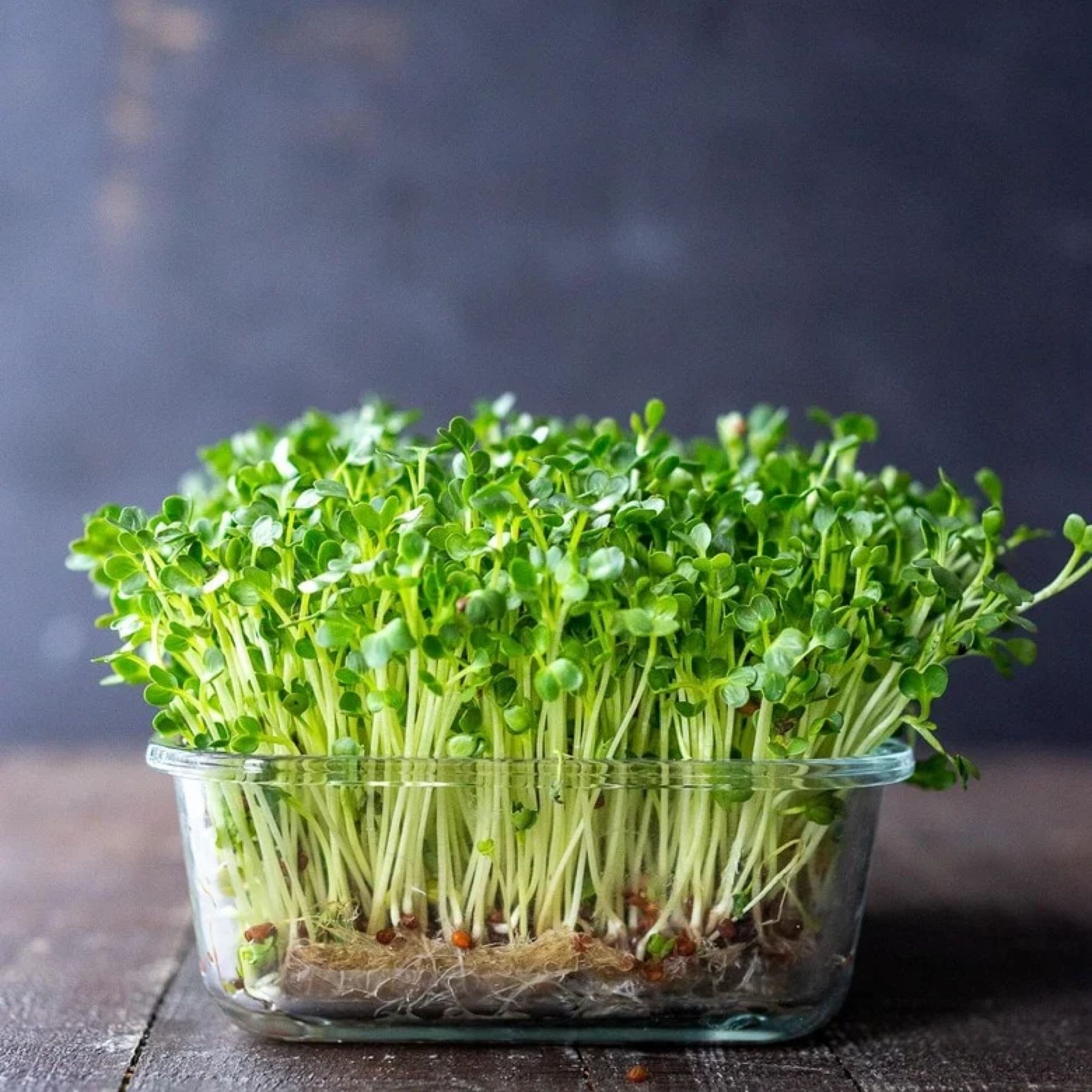 Microgreens