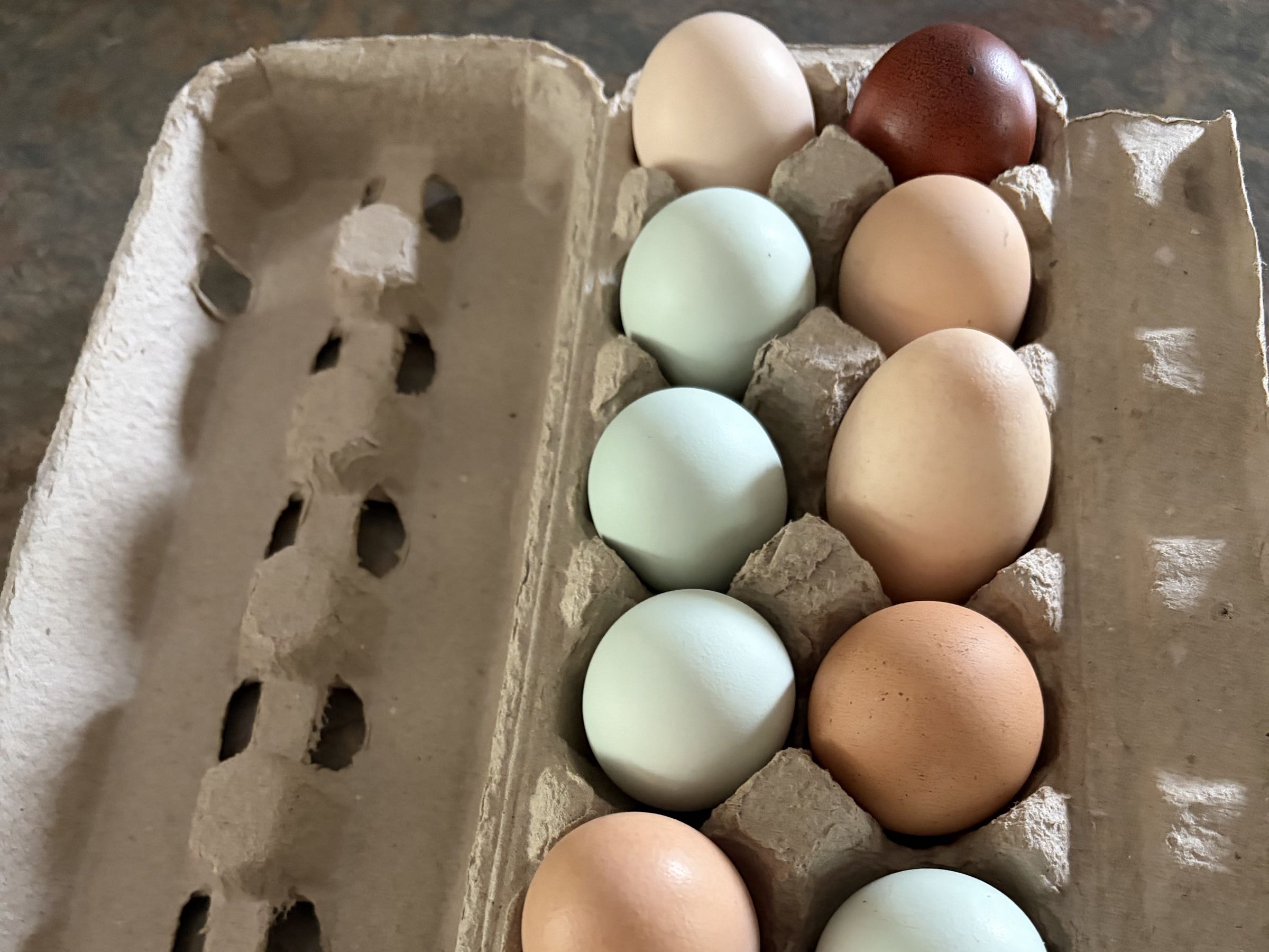Thumbnail image 1 for Dozen eggs