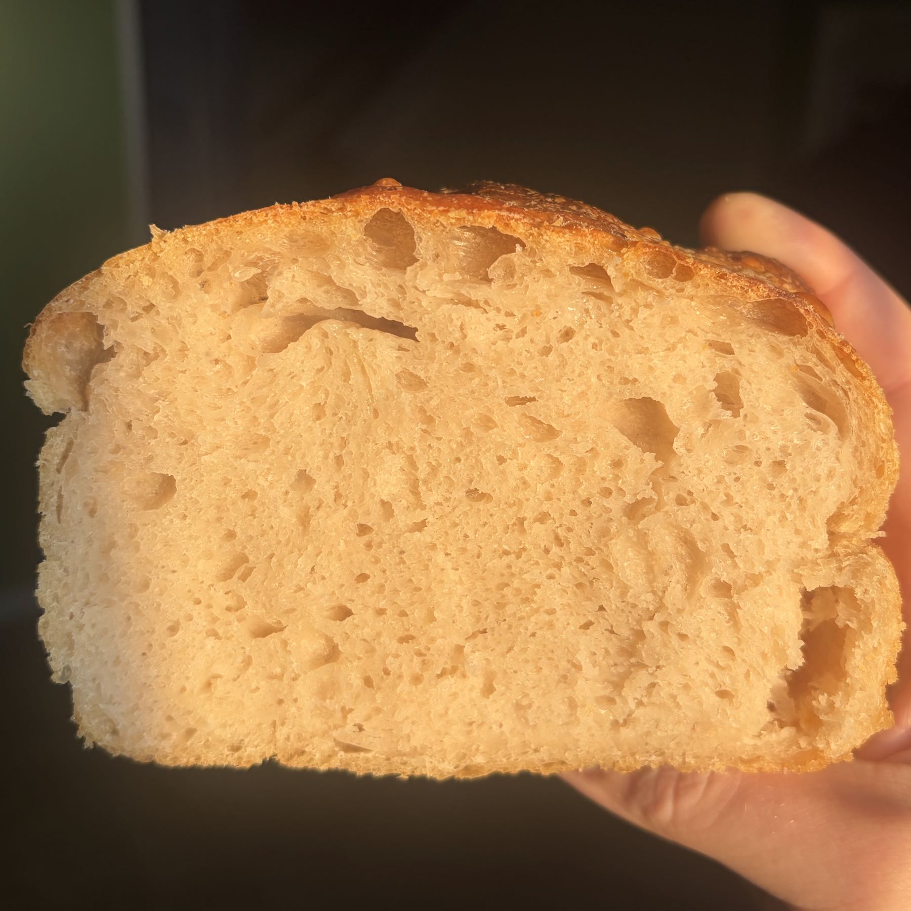 Sourdough sandwich bread