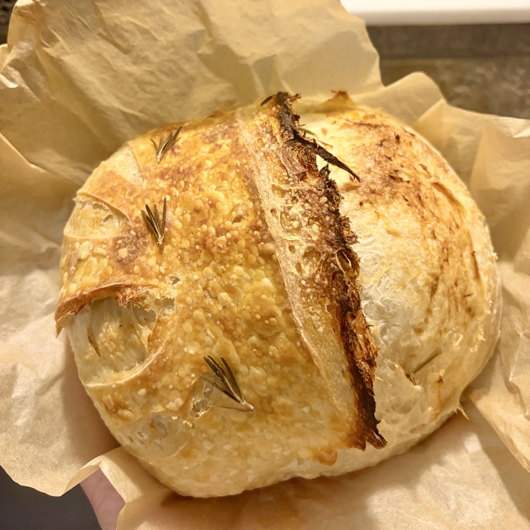 Rosemary & Roasted Garlic Sourdough