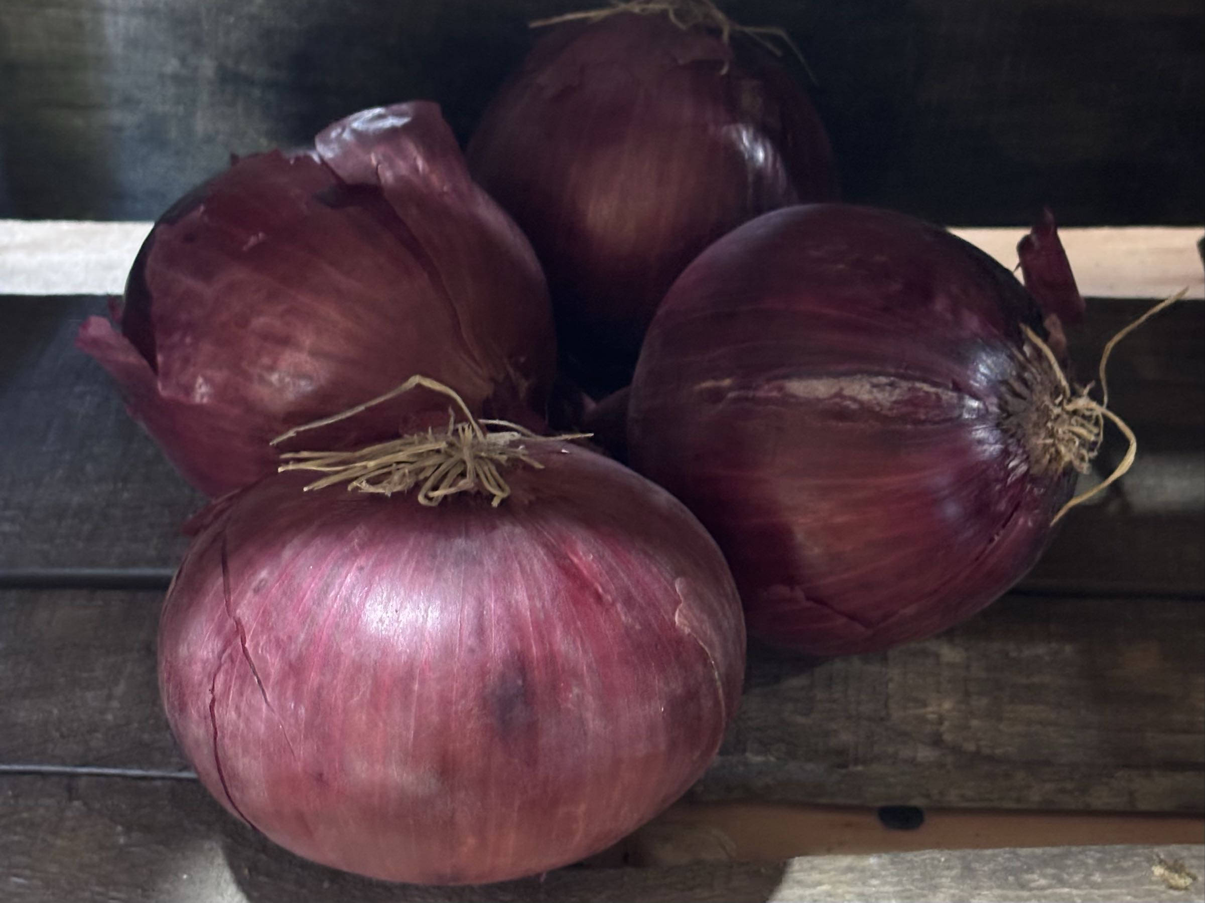 Thumbnail image 1 for Red Onion