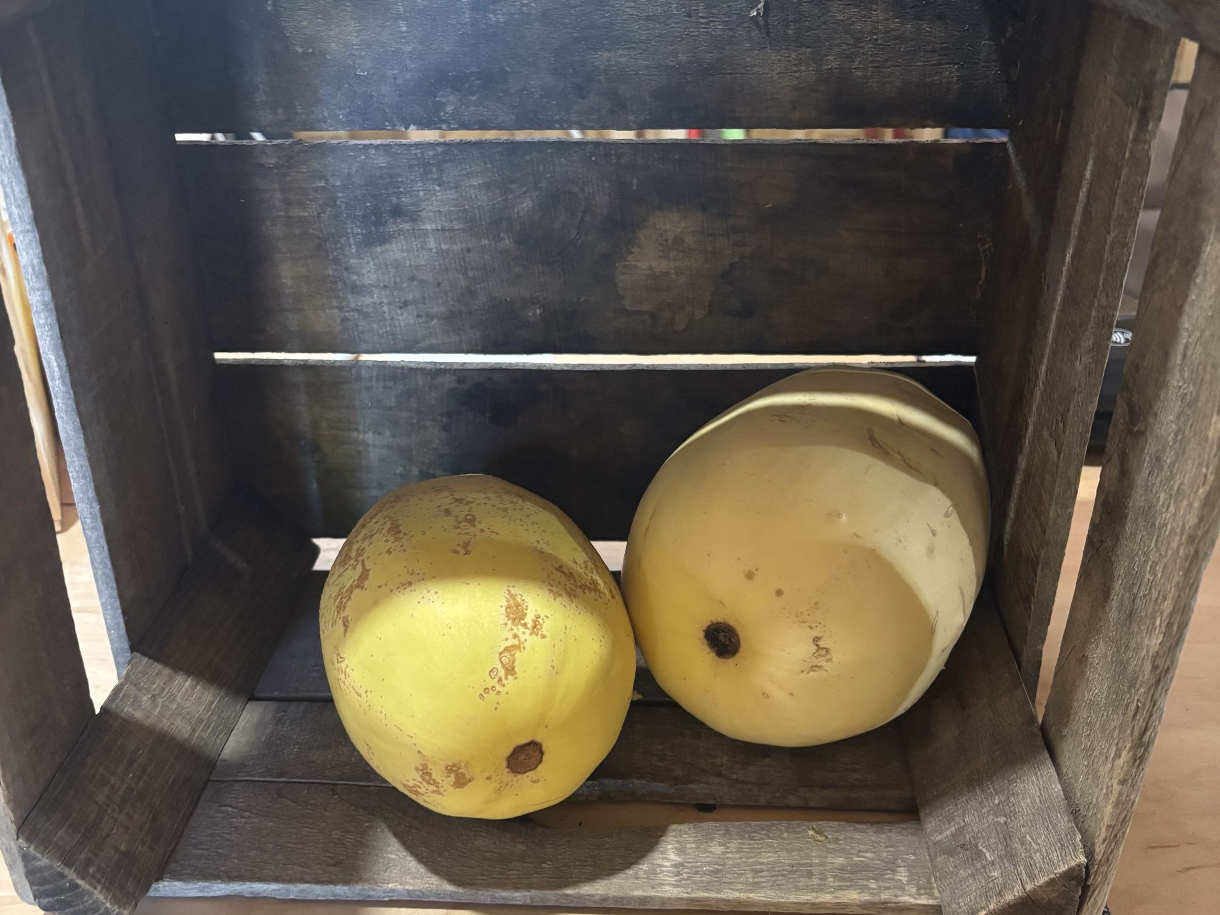 Thumbnail image 1 for Spaghetti squash