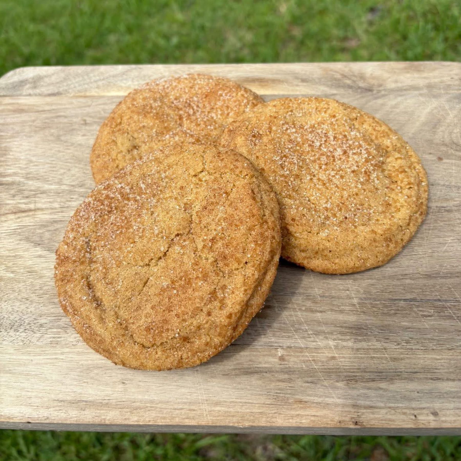 Cockadoodle Cookie - REG