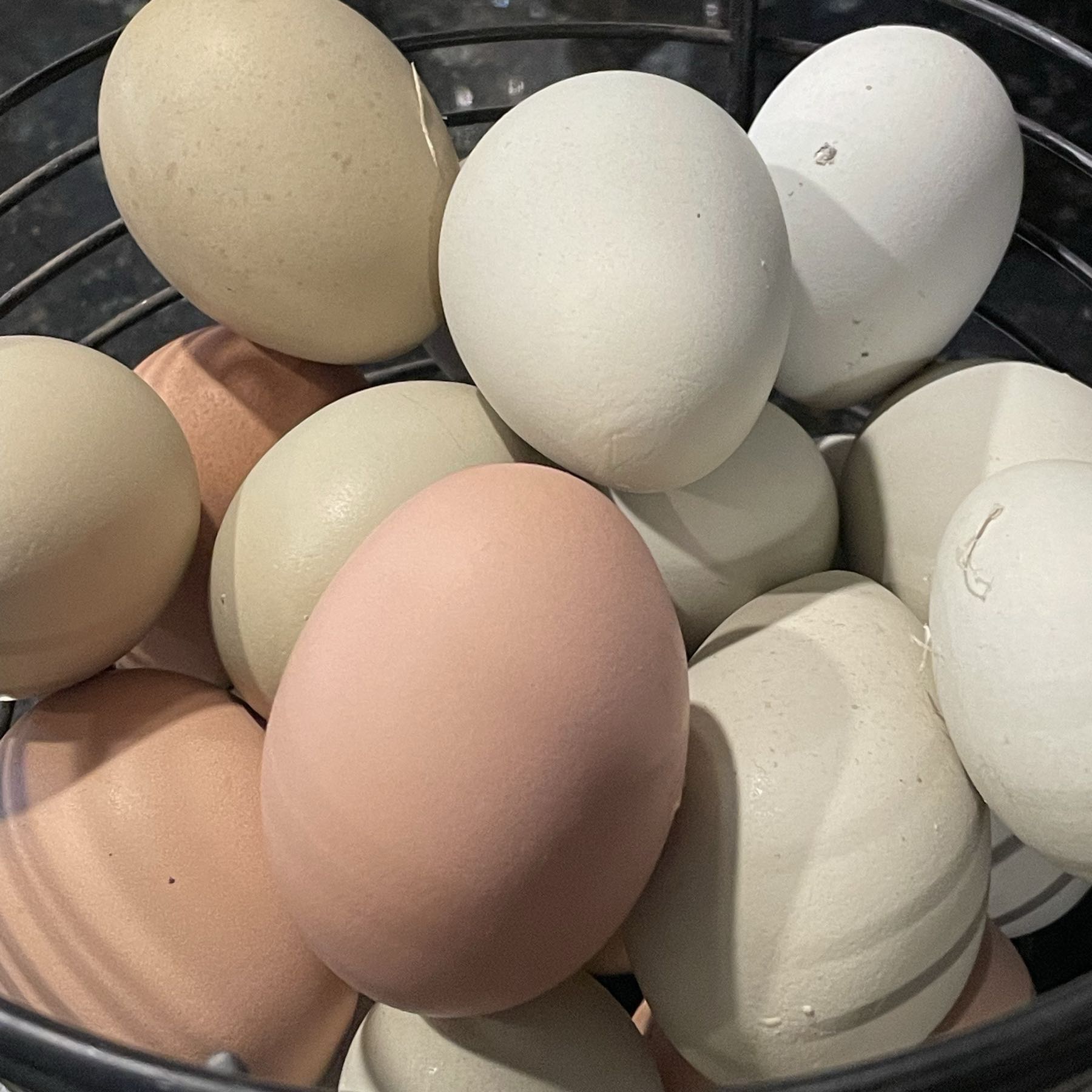 Eggs