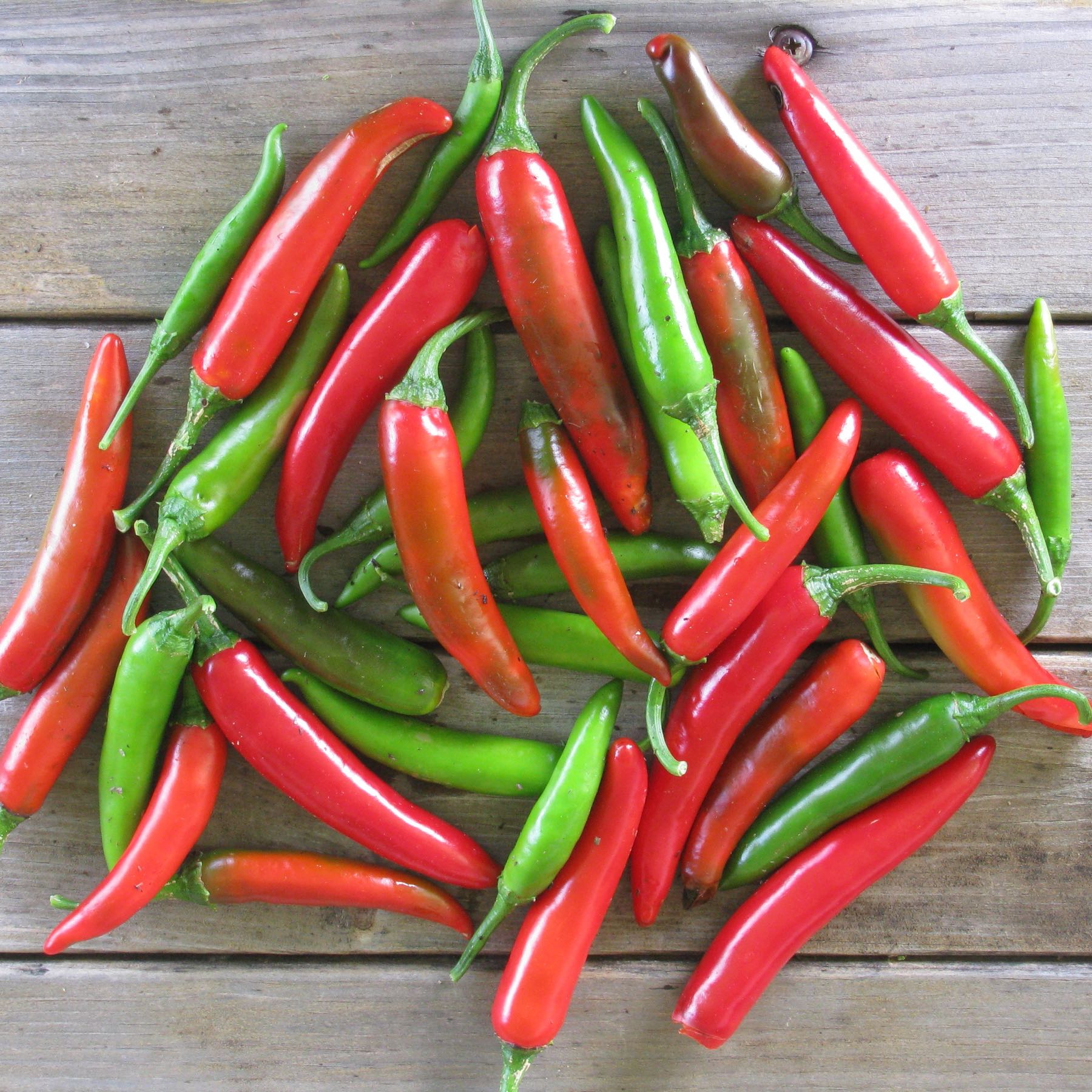 Thumbnail image 1 for Serrano Peppers