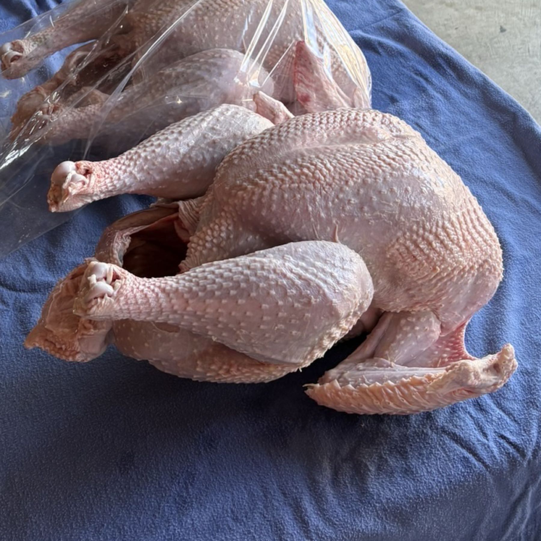 Pasture-Raised Turkey with Giblets (20.4 lbs)