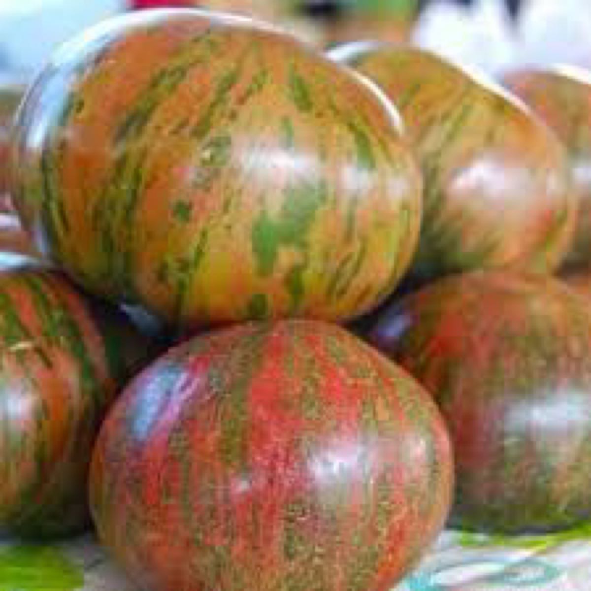 Pink Berkeley Tye Dye Heirloom