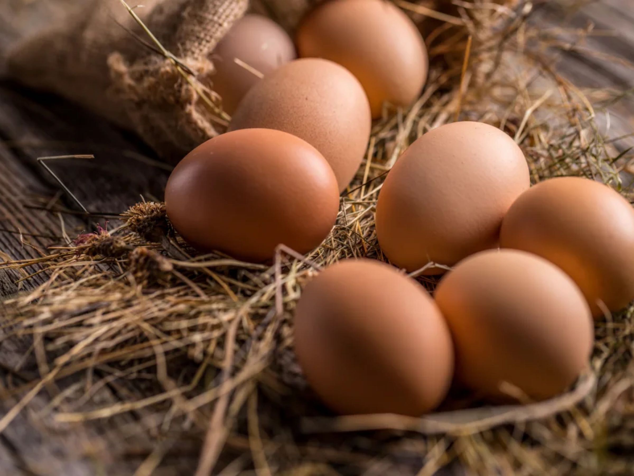 Thumbnail image 1 for Fresh chicken eggs