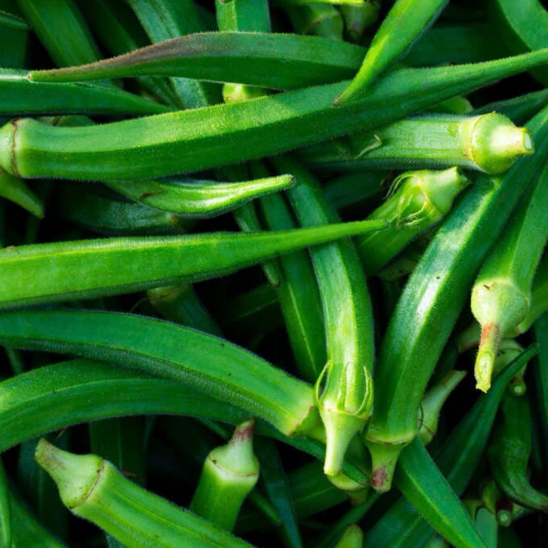 Cow Horn Okra