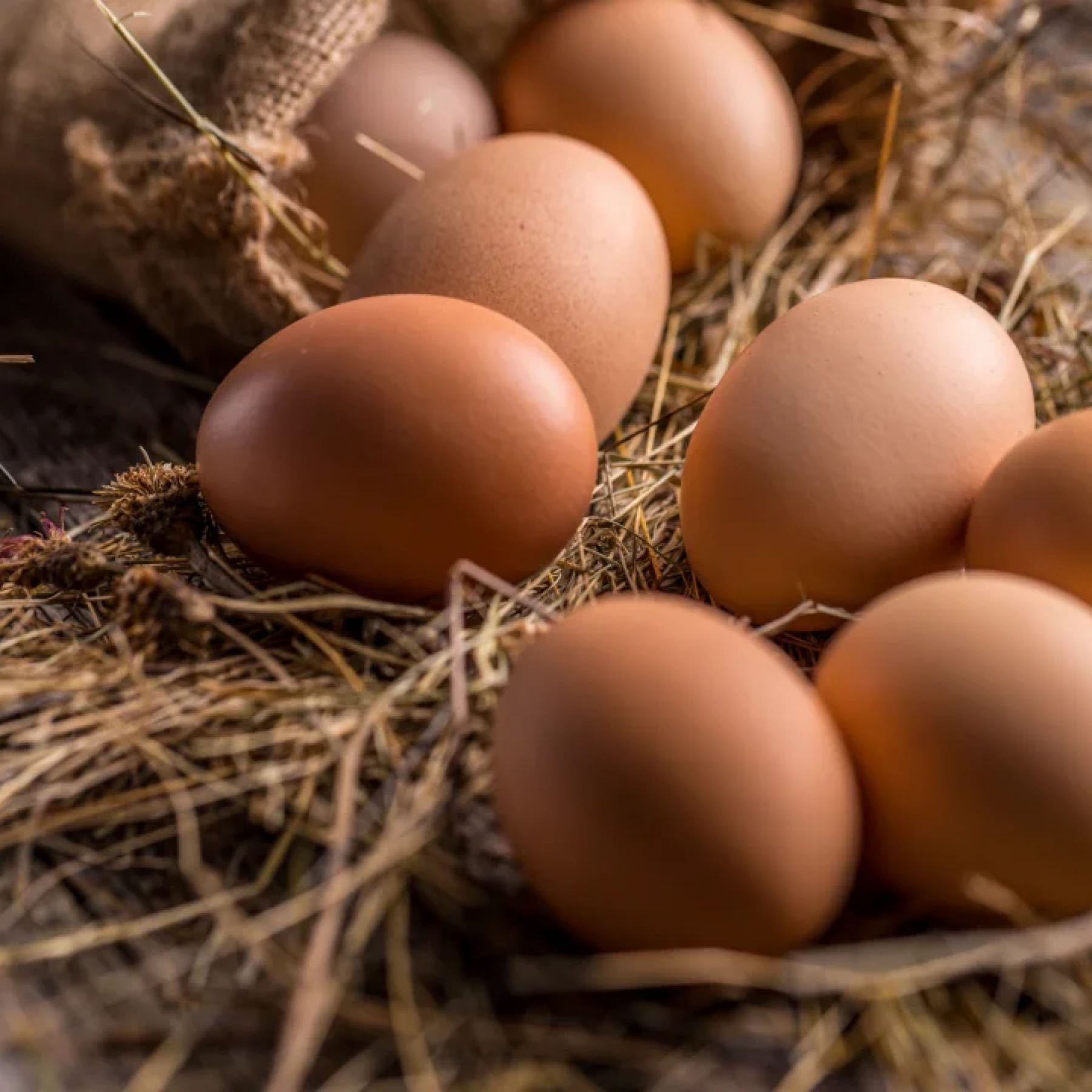 Thumbnail image 1 for Farm Fresh Eggs