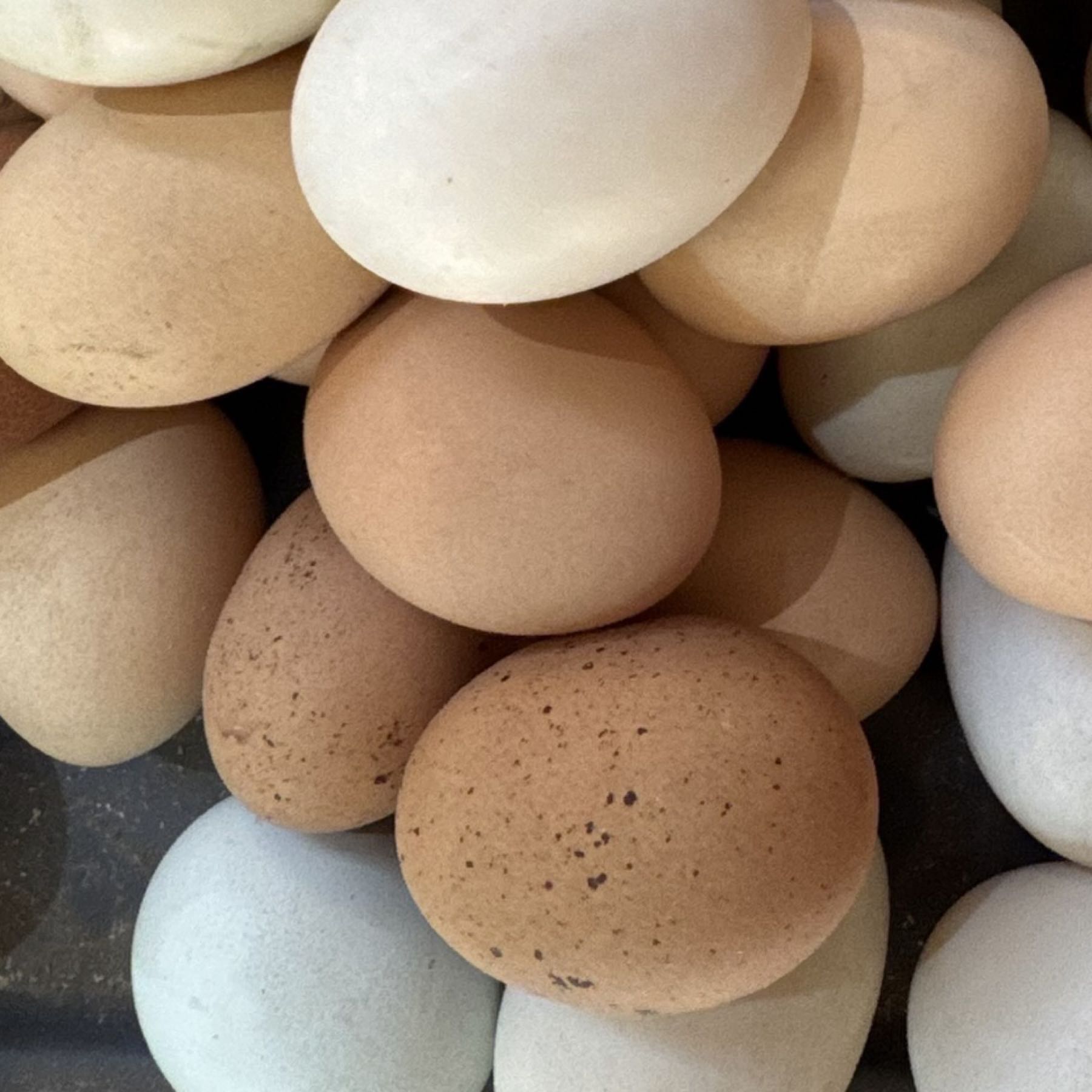 XLarge Nest-Fresh Chicken Eggs