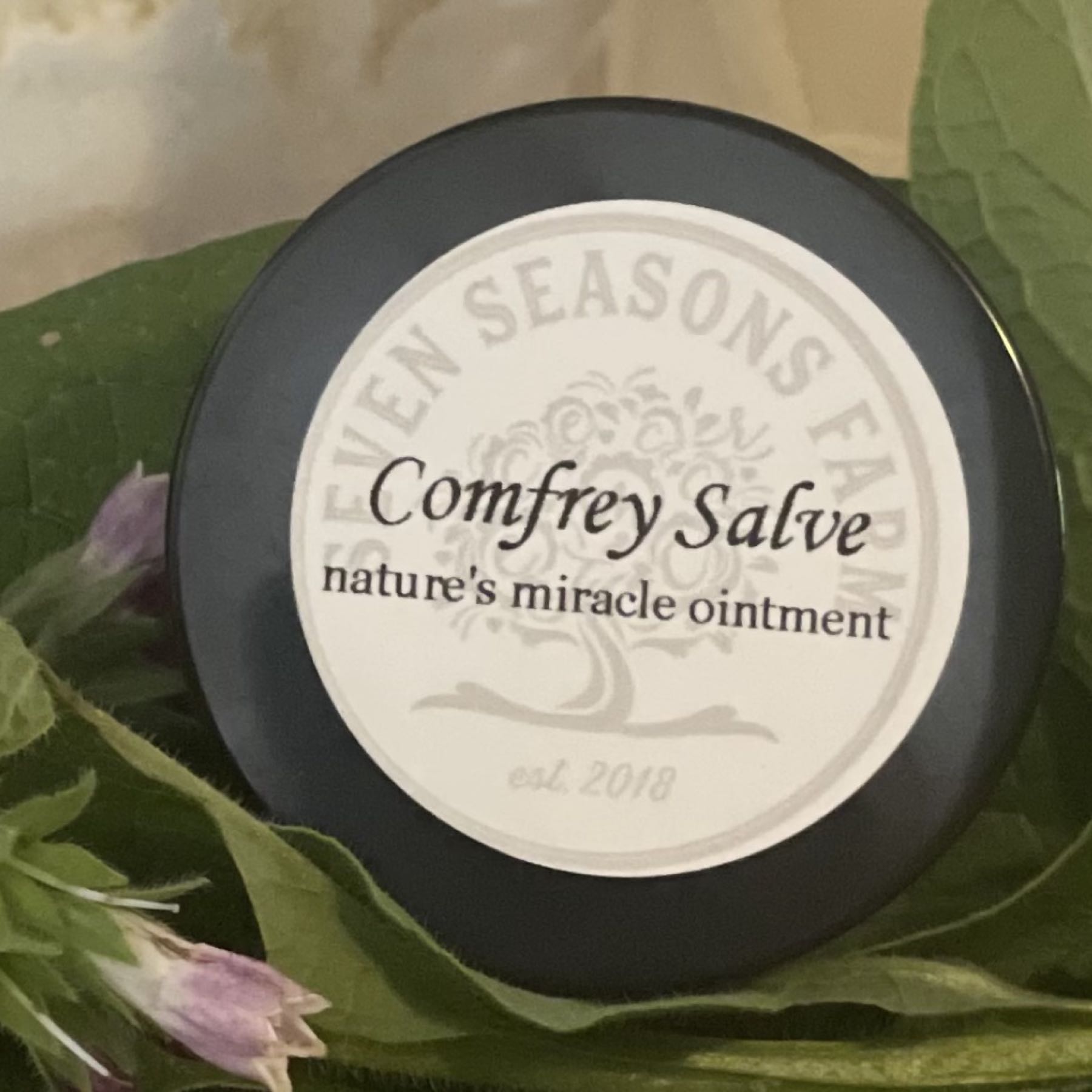 Thumbnail image 1 for Comfrey Salve