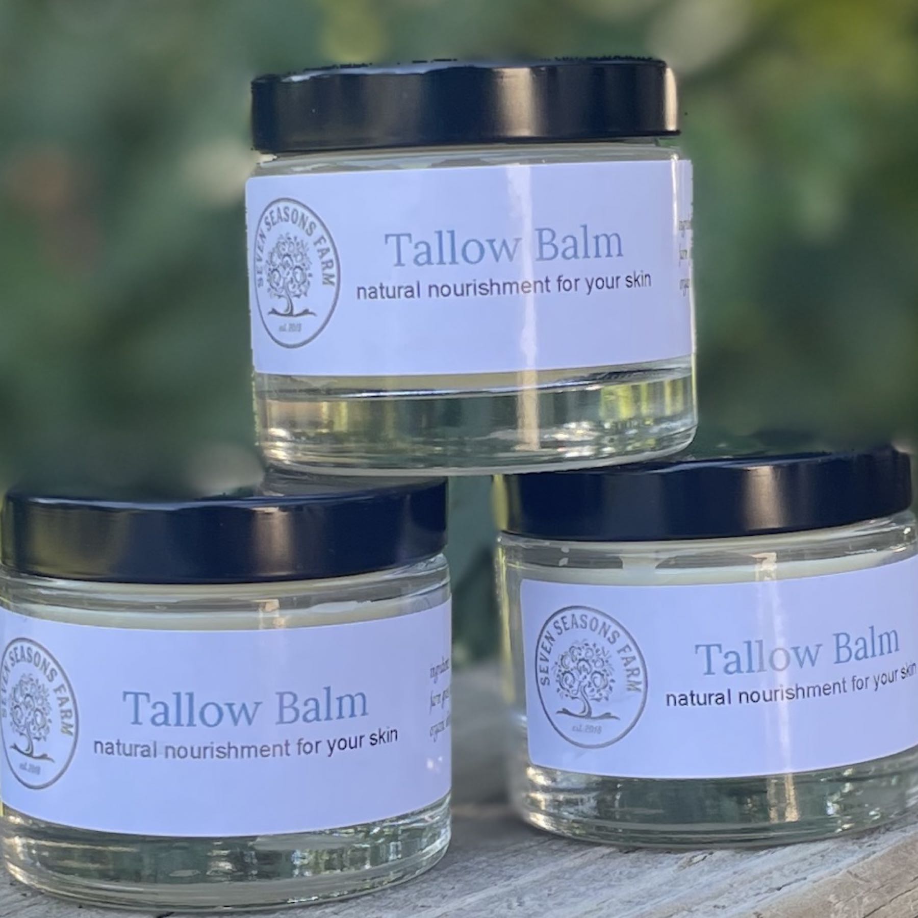 Tallow Balm