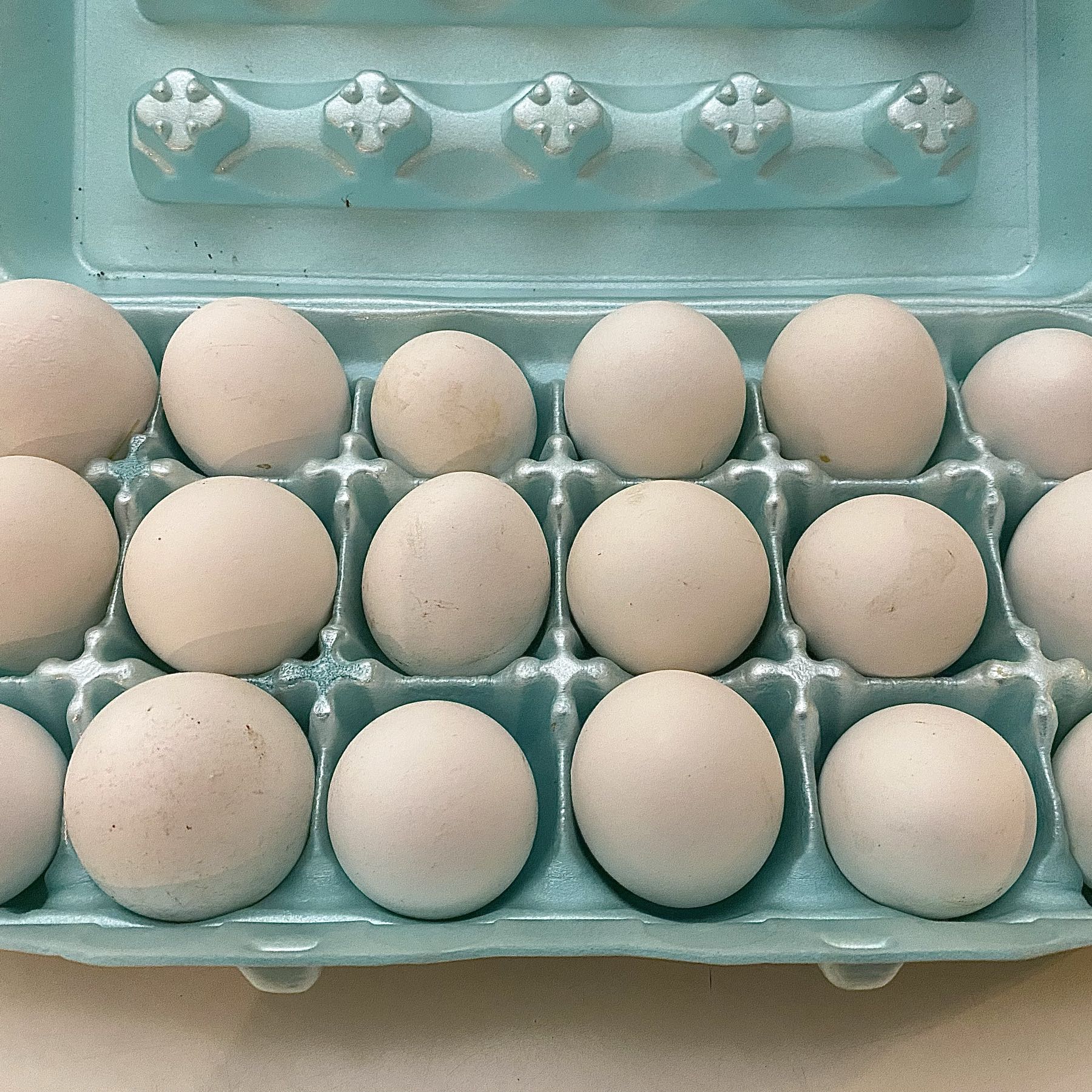 Thumbnail image 1 for Fresh Farm Eggs