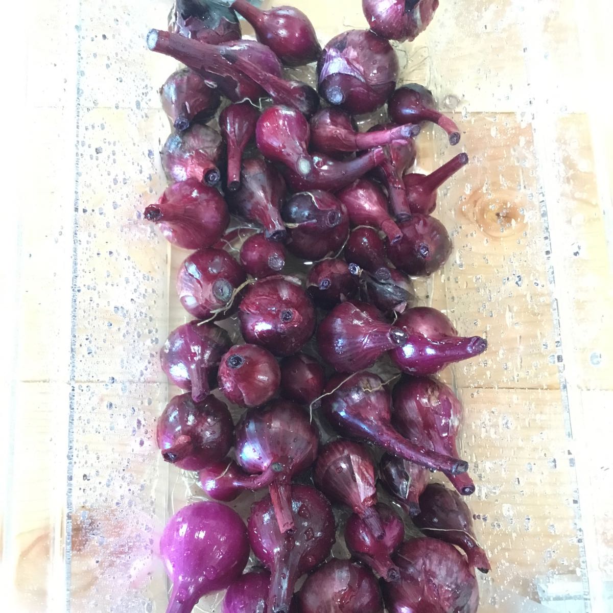 Fresh - Mini Purple Bunching Onion