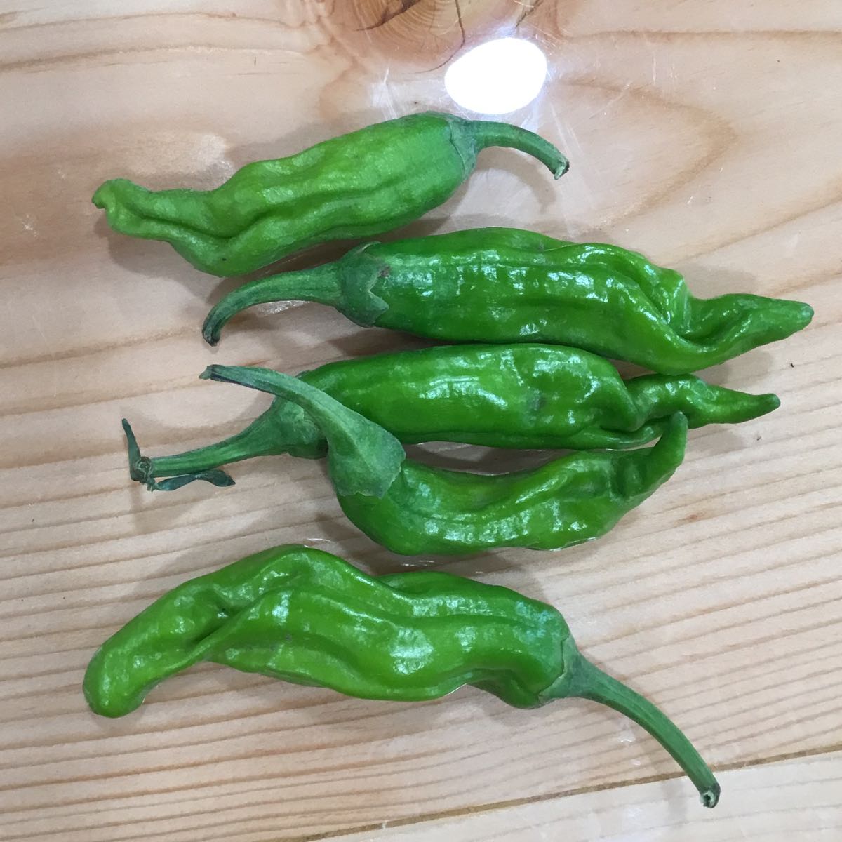 Thumbnail image 1 for Fresh - Greek Pepperonicini