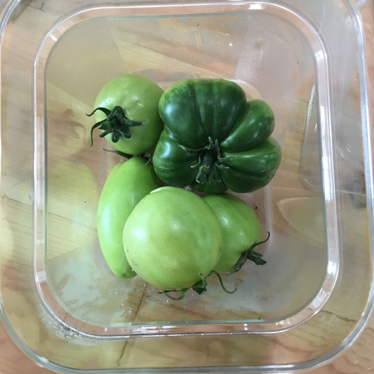 Thumbnail image 1 for Fresh - Green Tomatoes
