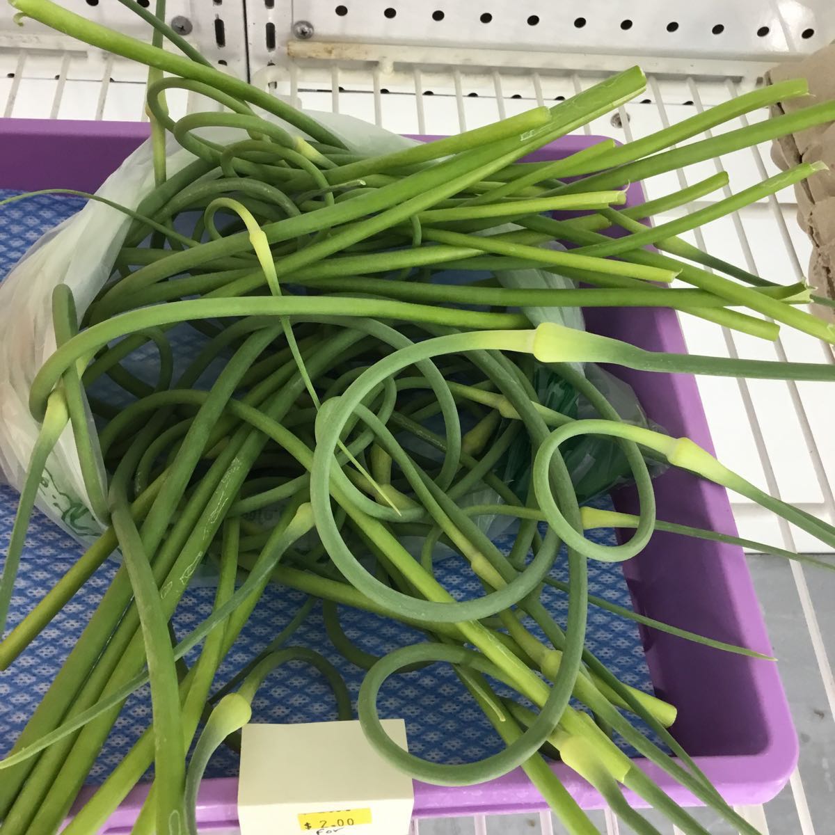 Garlic Scapes