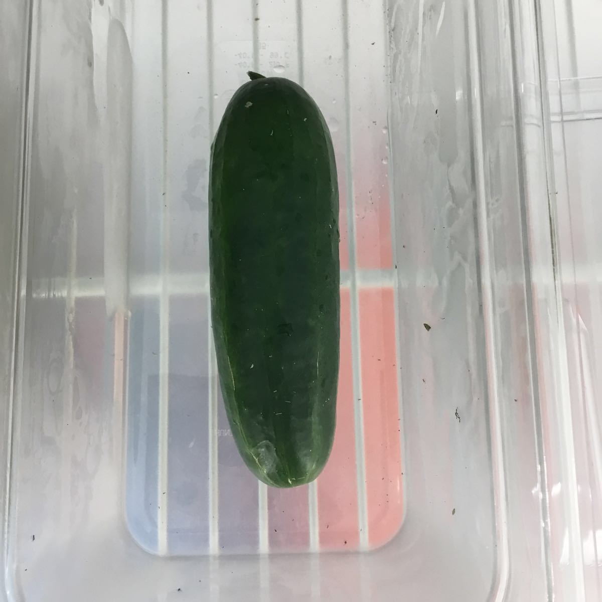 Fresh - Diva Cucumber
