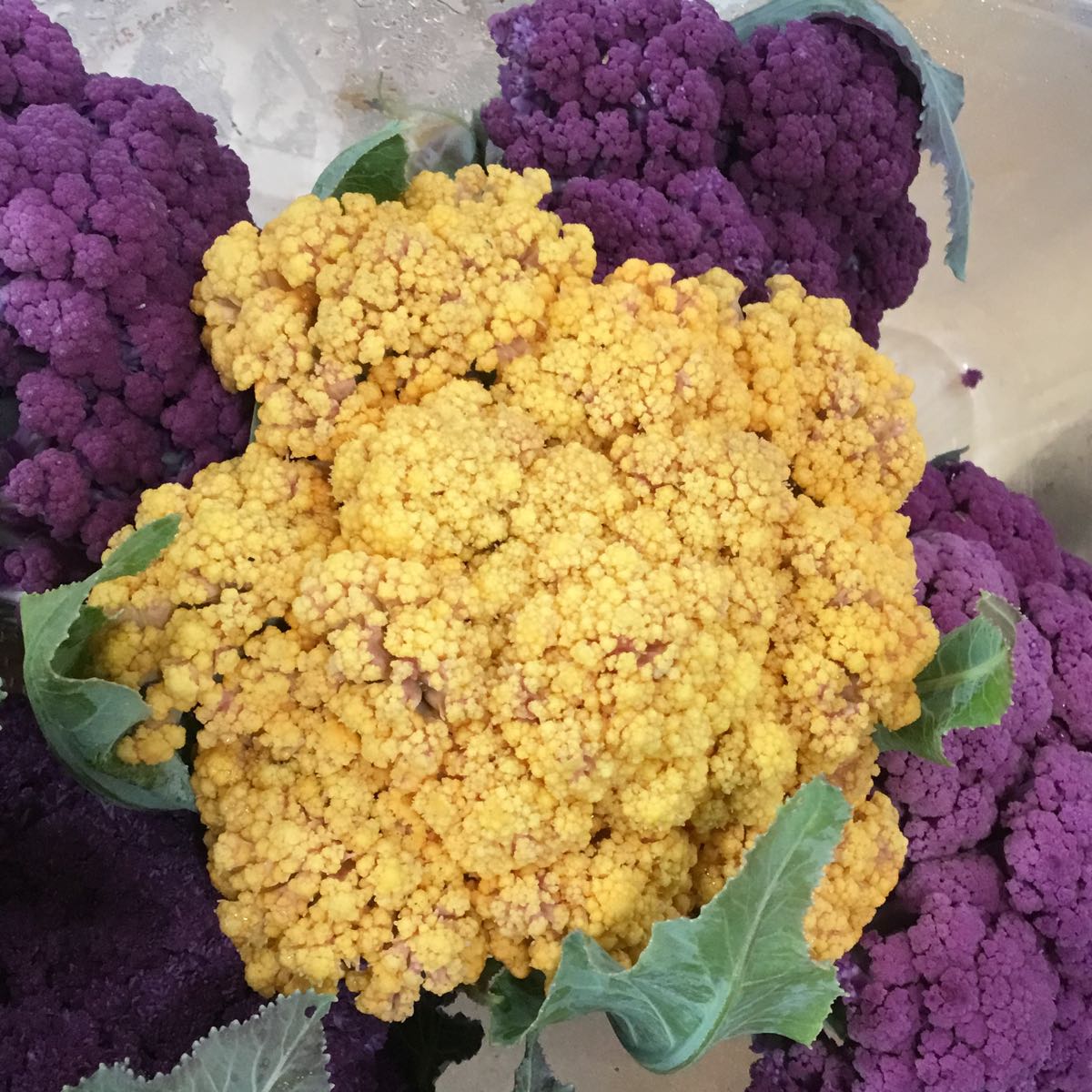 Fresh - Amethyst Cauliflower (Medium)