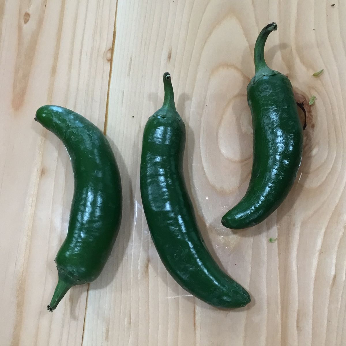 Thumbnail image 1 for Fresh - Jalapeño Pepper