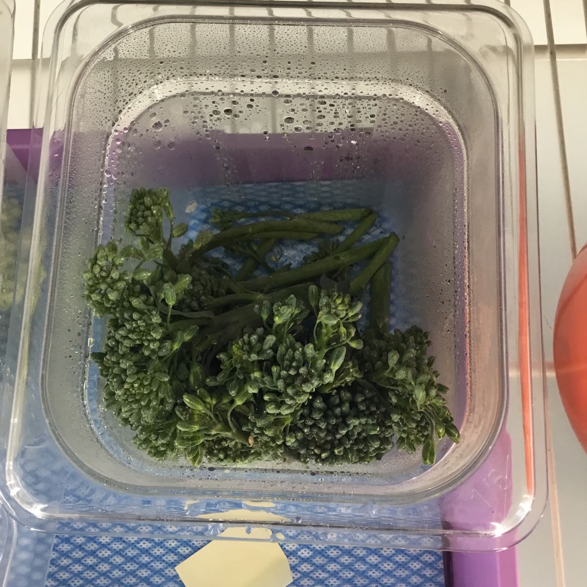Thumbnail image 1 for Fresh - Broccolini