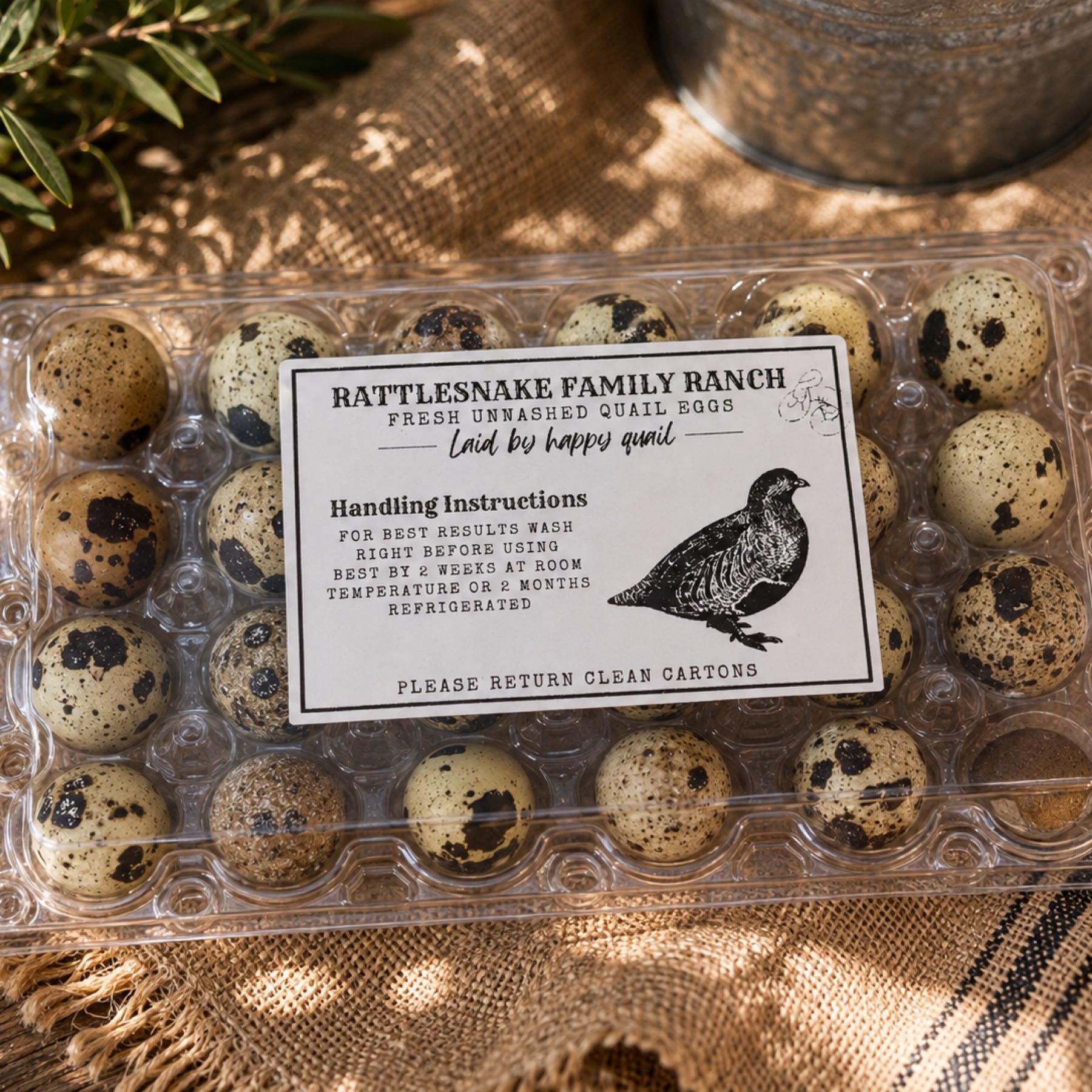 Quail Eggs - 24 Count (Includes FREE egg scissors)