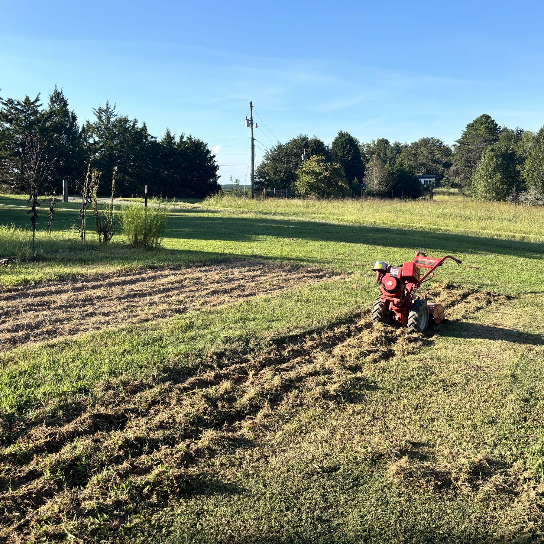 Dylan Moore, farm owner at Old Growth Farm