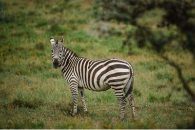 Miki's profile photo - Travel enthusiast who has visited 28 countries